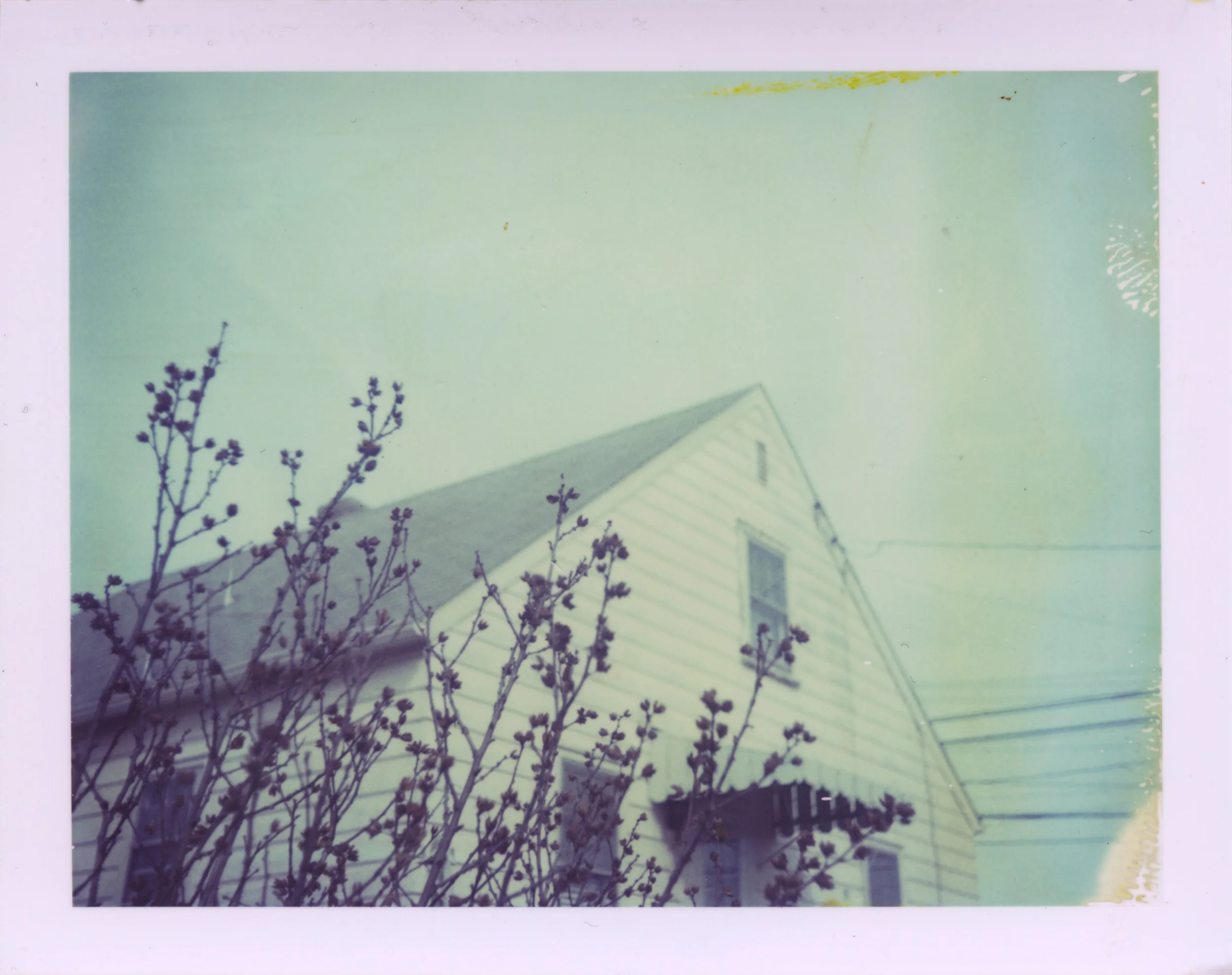   blue house . series. polaroid 669 film. 