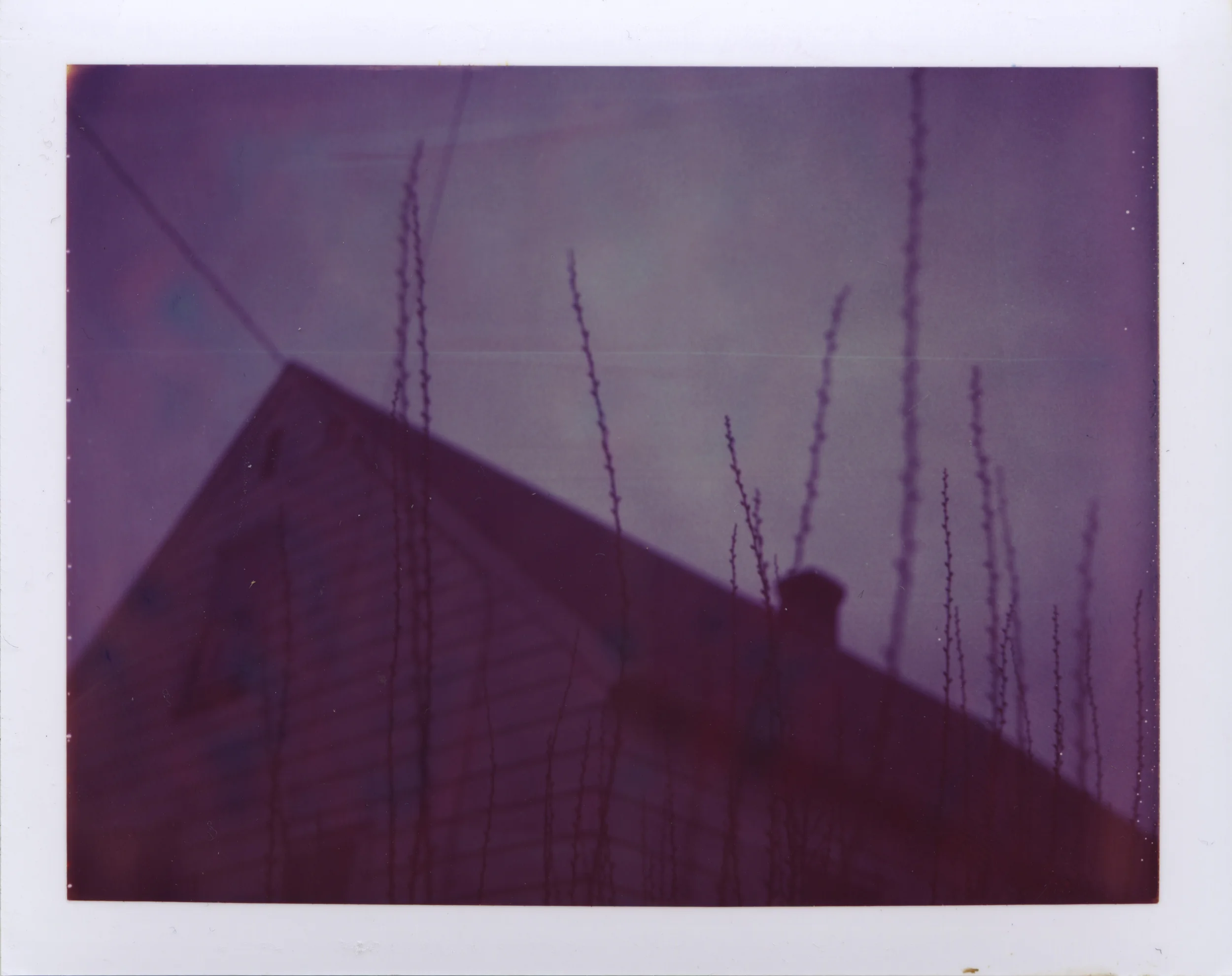   blue house . series. polaroid 669 film. 