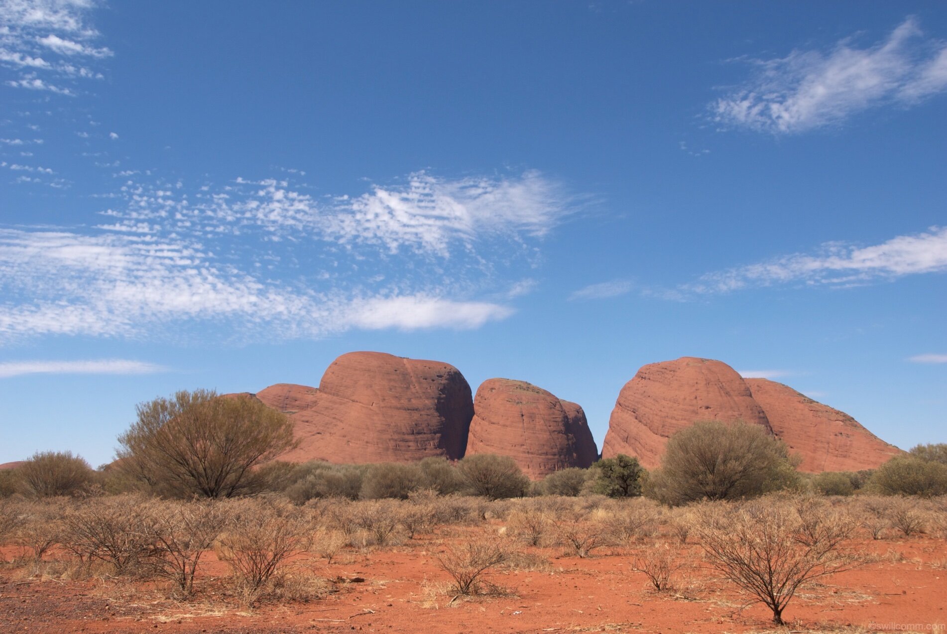SW0_3746.jpg