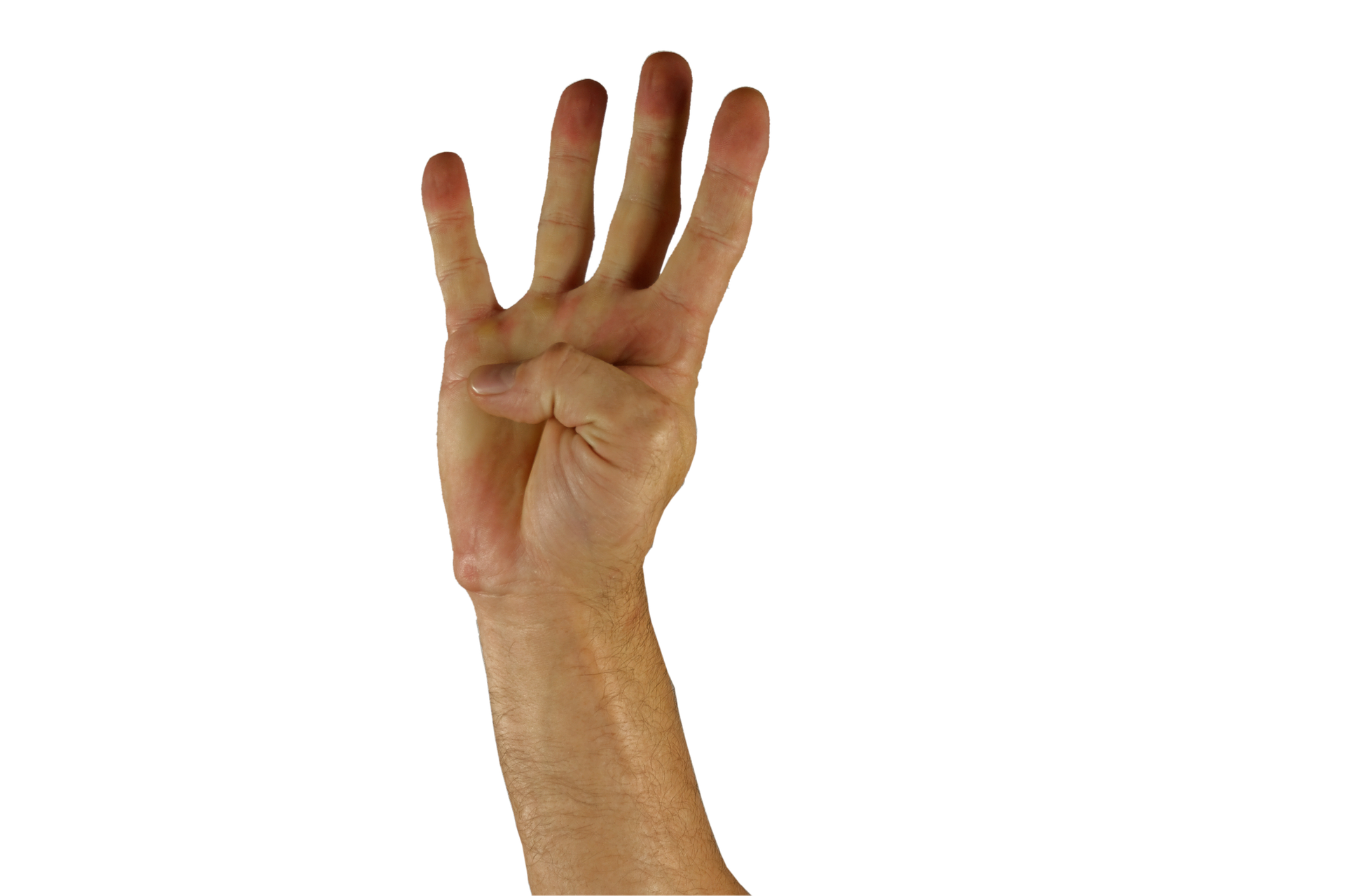 hand-1006417_1920.png