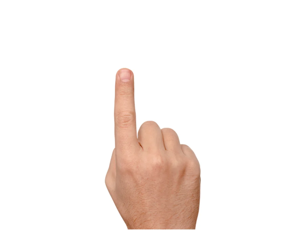 HANDone.jpg