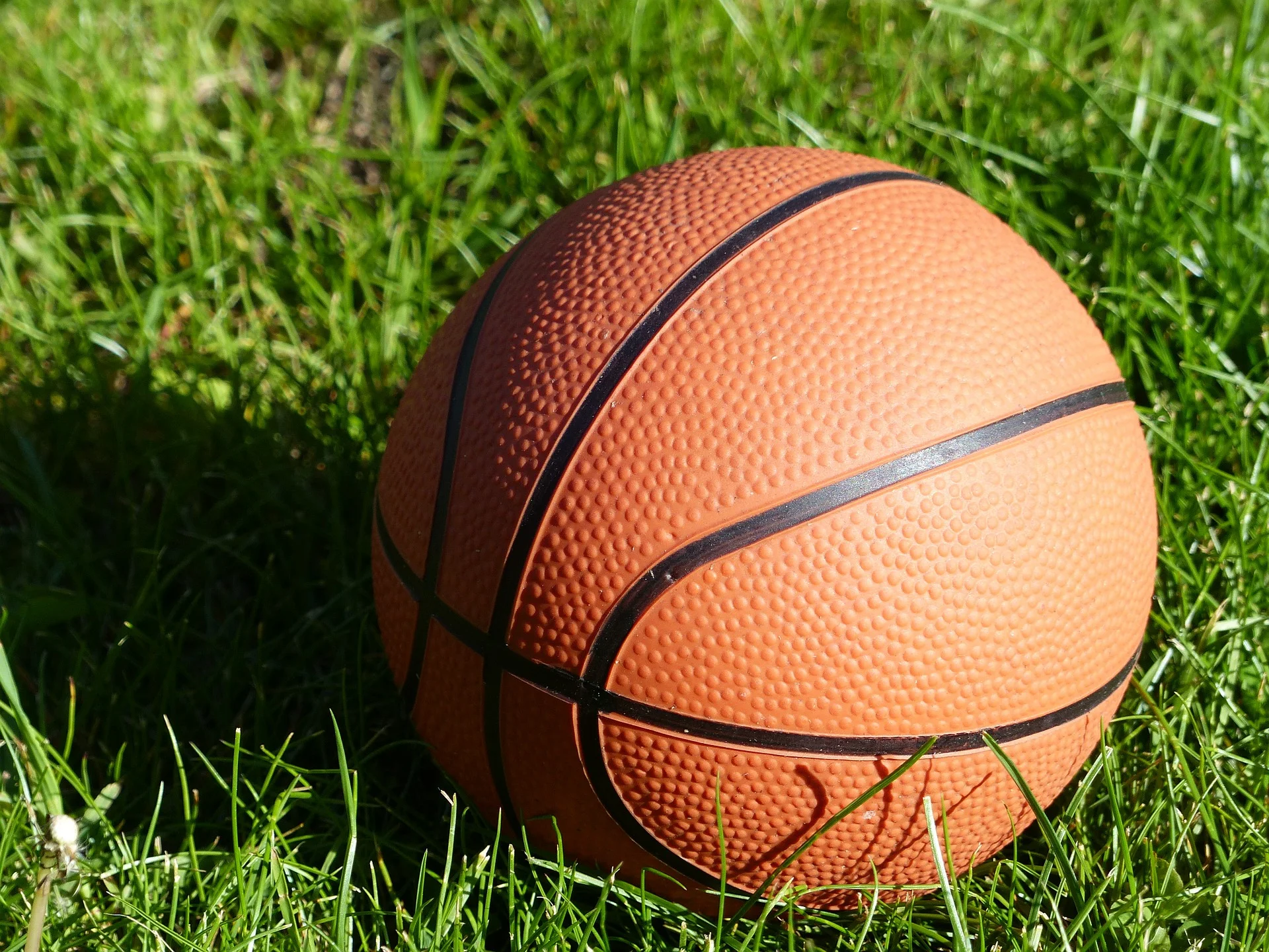 basketball-436088_1920.jpg