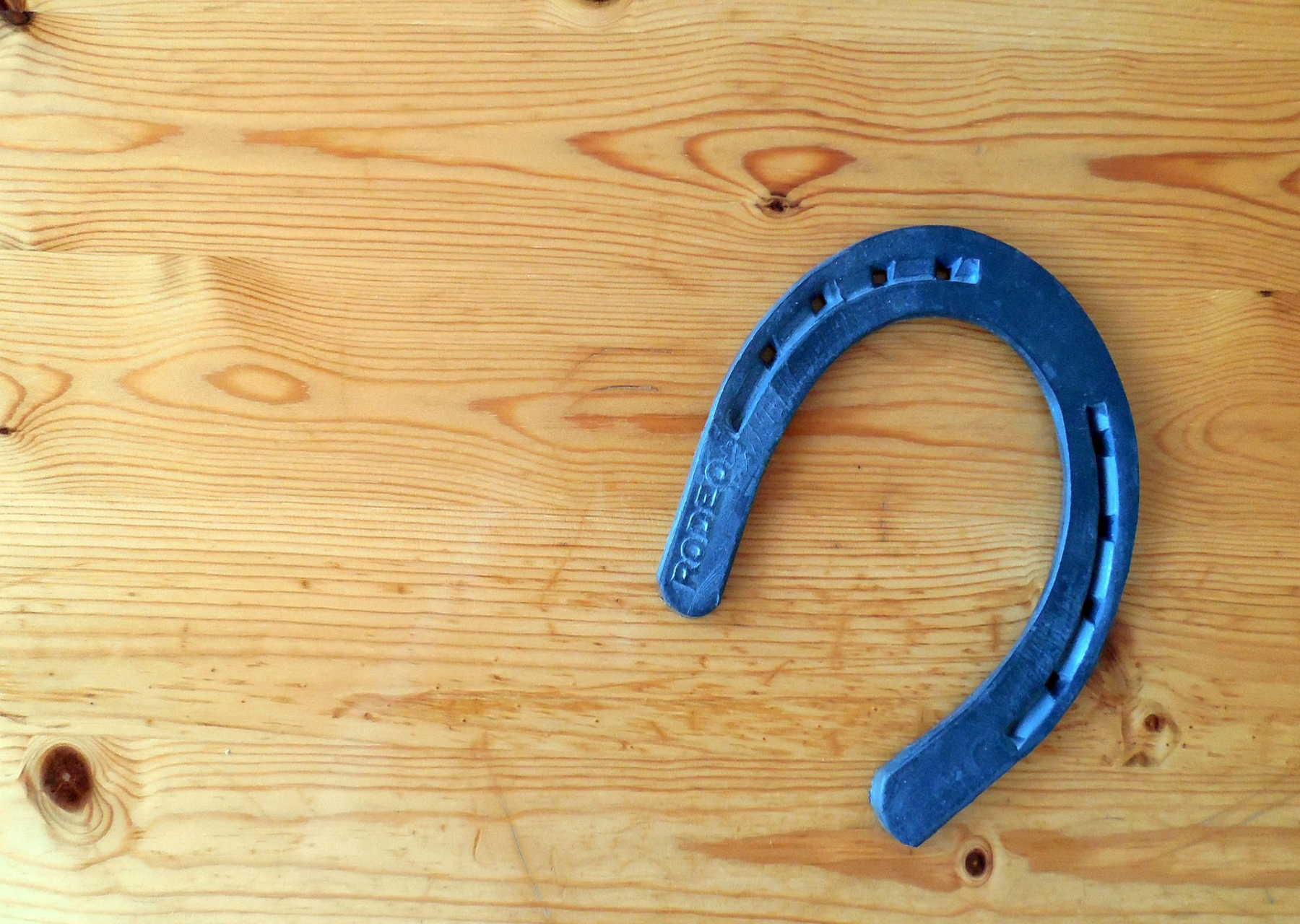 aHORSESHOES.jpg