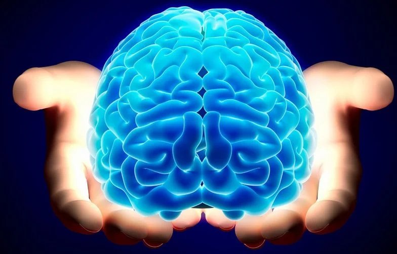 brain-in-hand.jpg