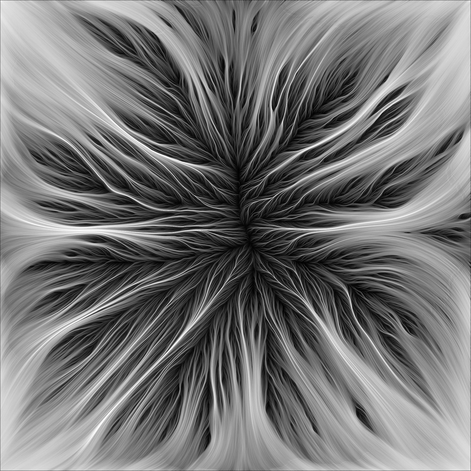 Retina-BM-024.jpg