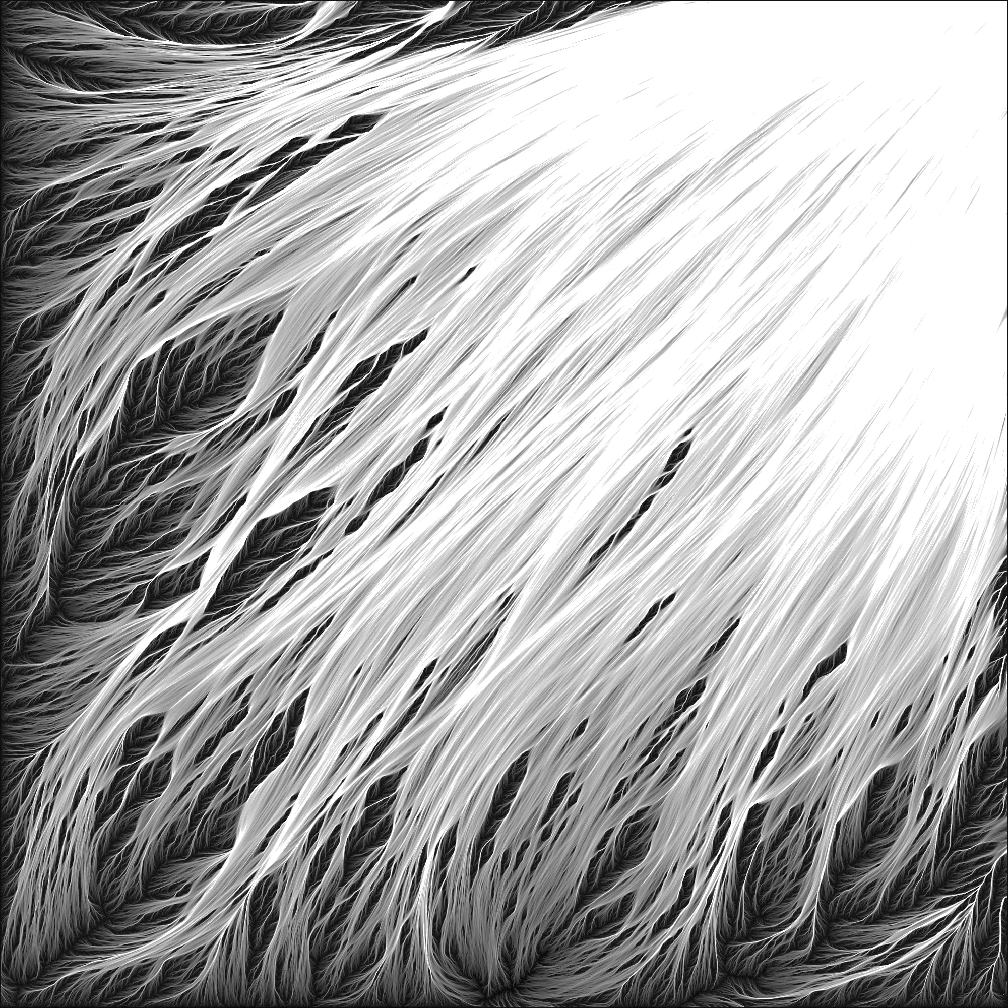 Retina-BM-014.jpg