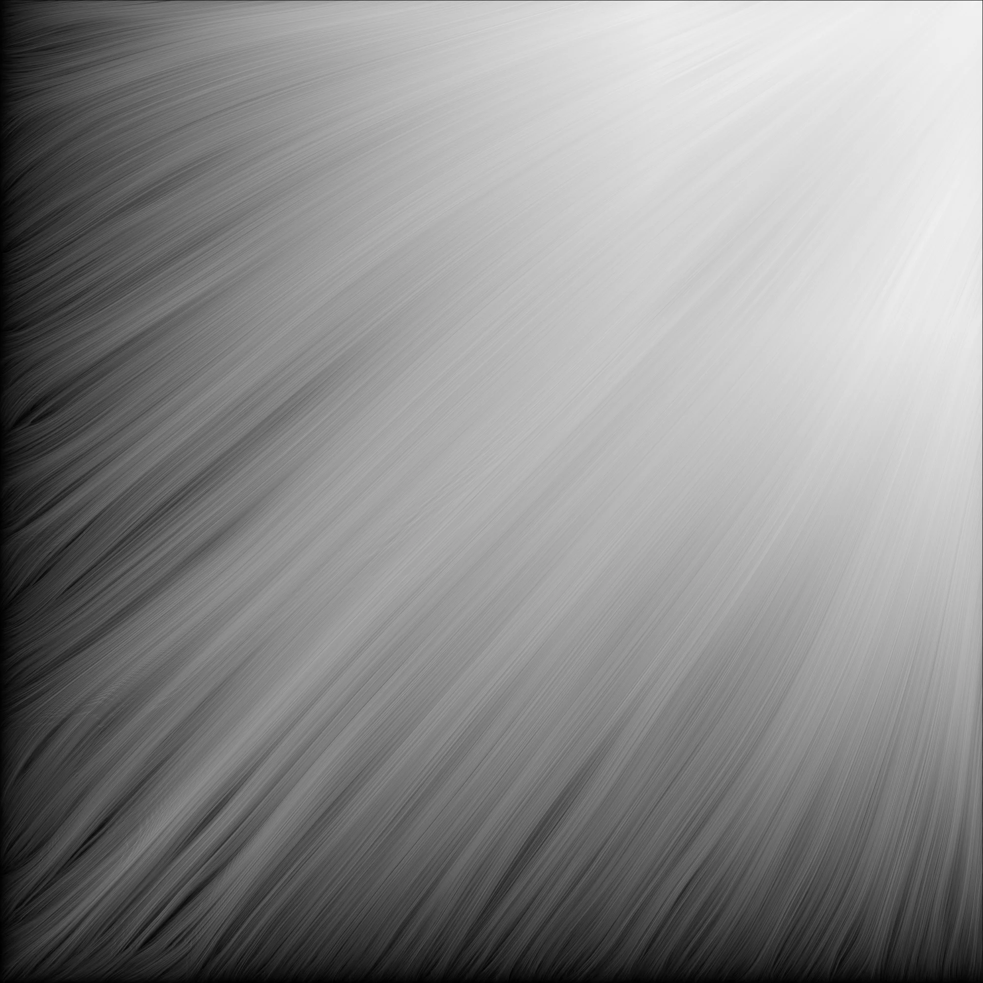 Retina-BM-063.jpg