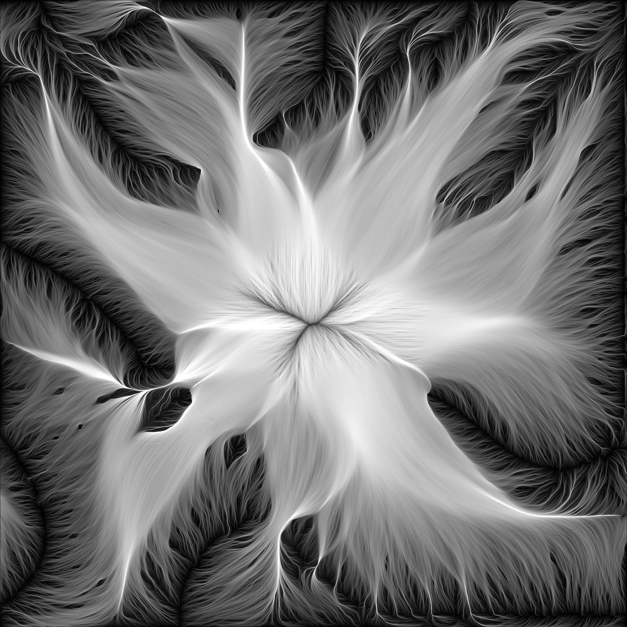 Retina-BM-060.jpg