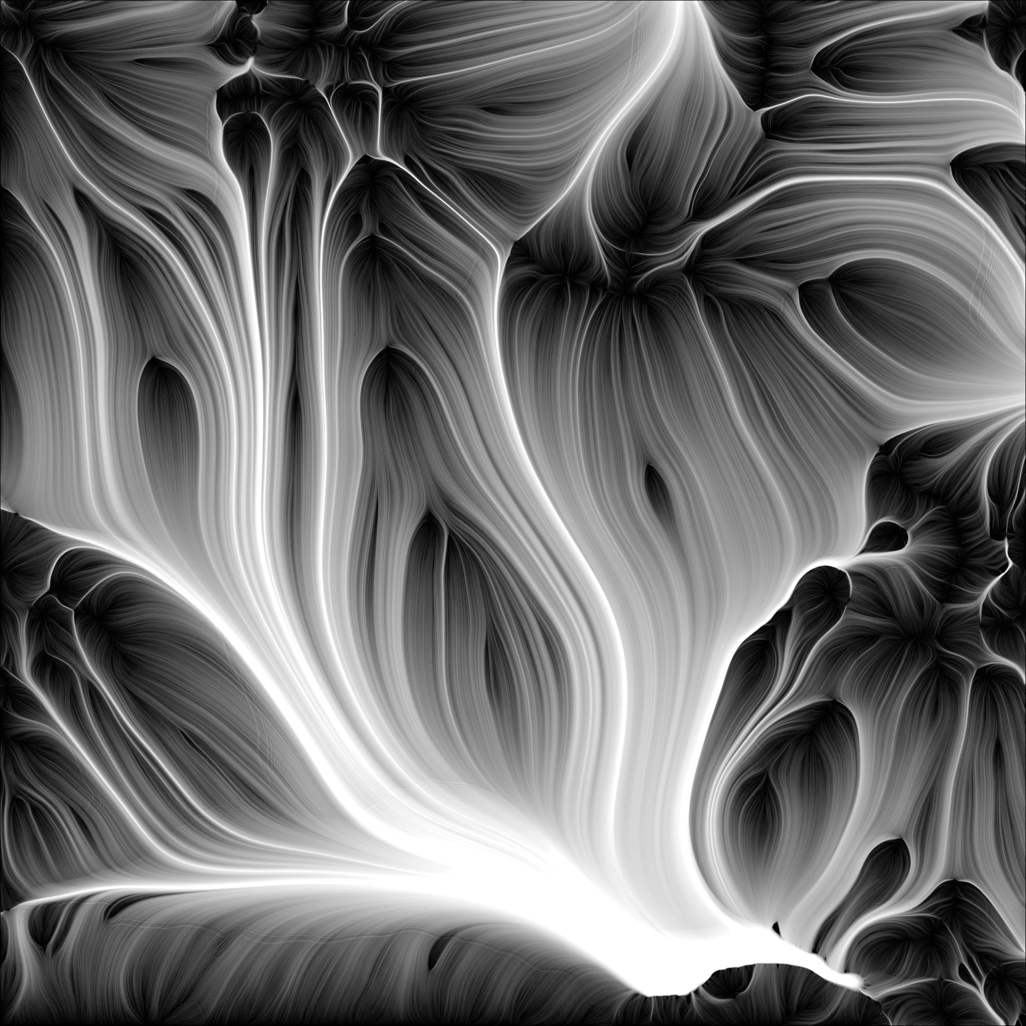 Retina-BM-107.jpg