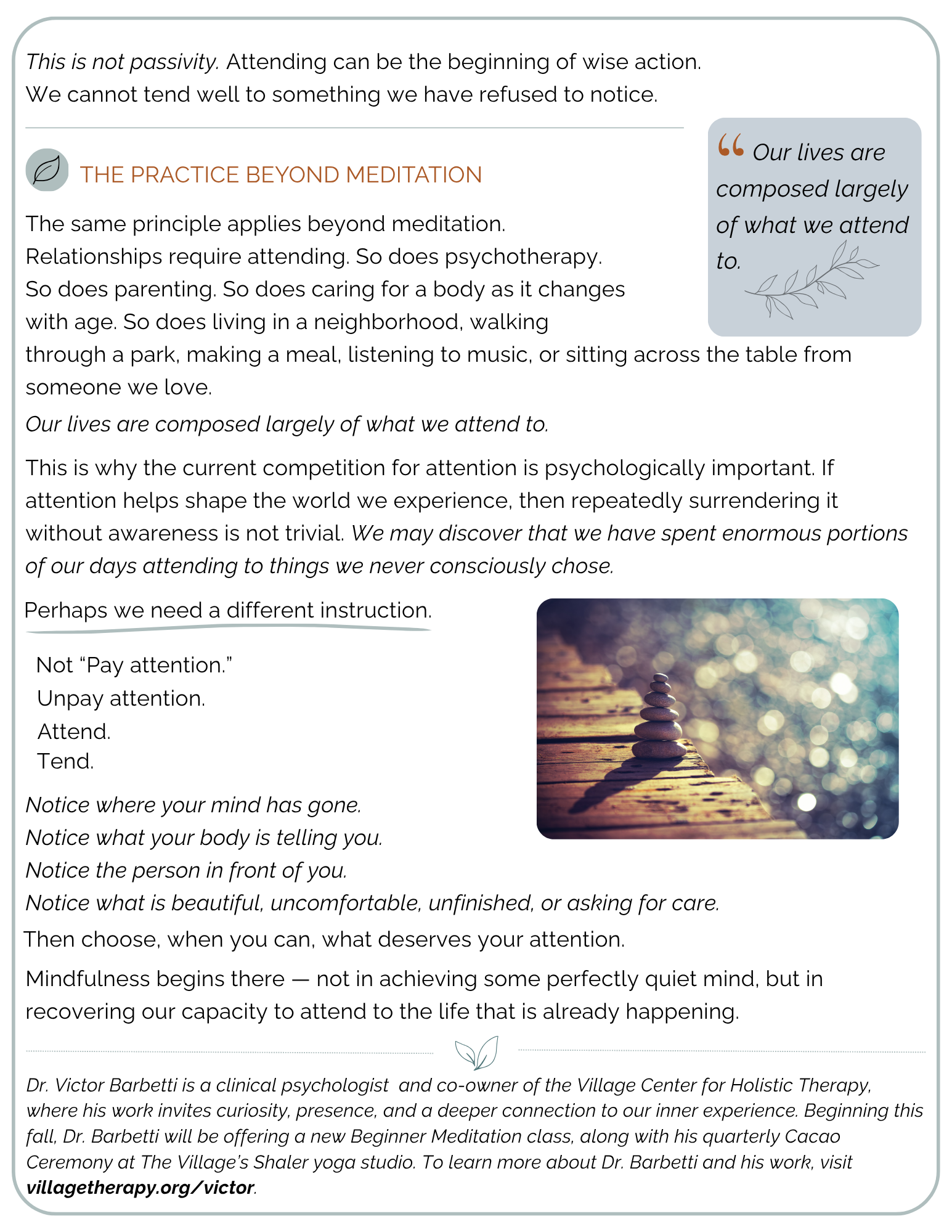victor meditation blog 3 final.png