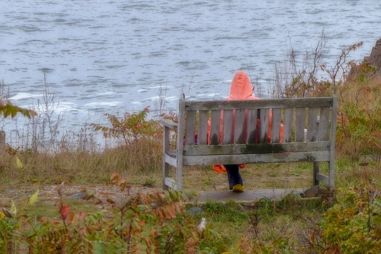 P1020820-4.jpg
