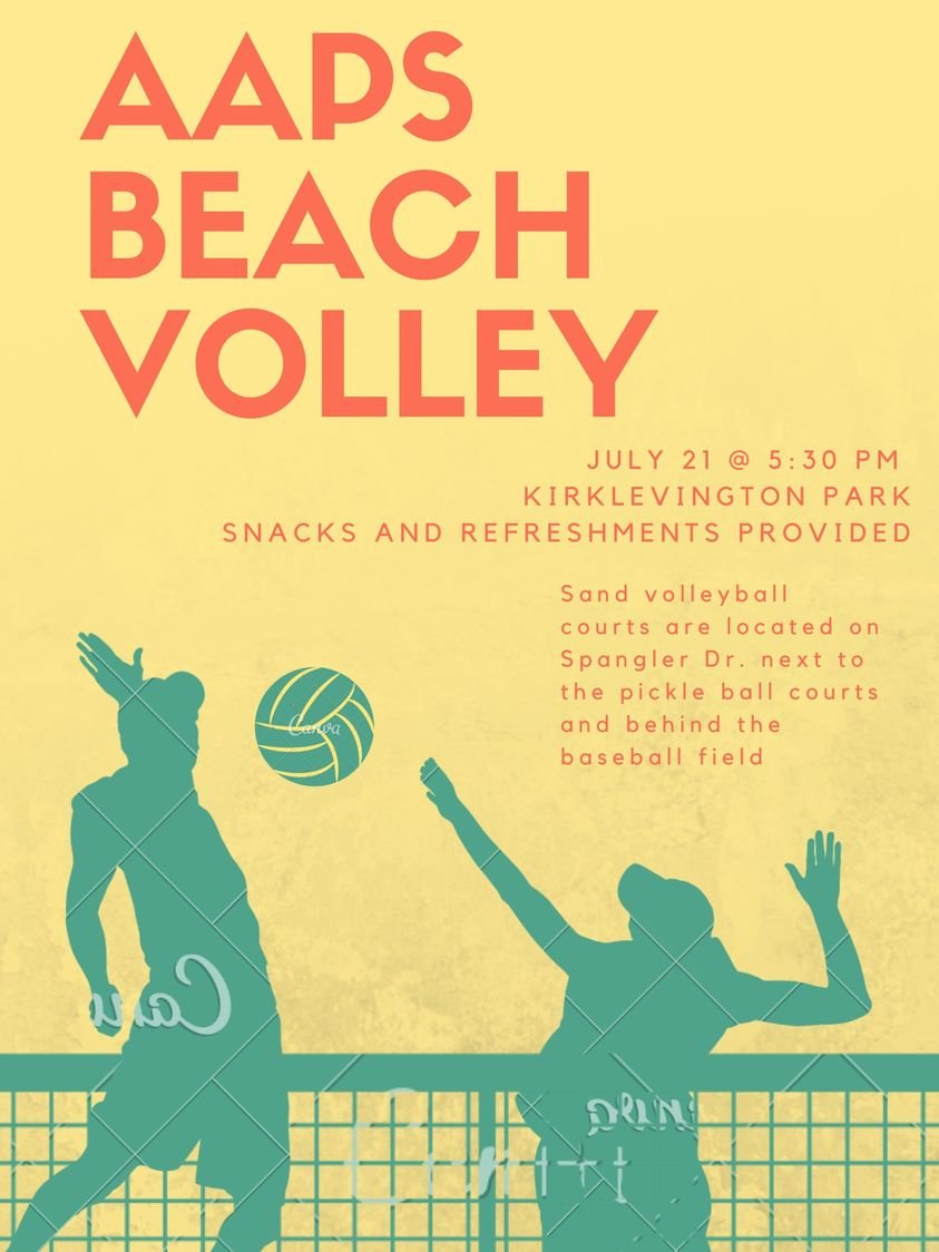 volleyball flyer.jpg