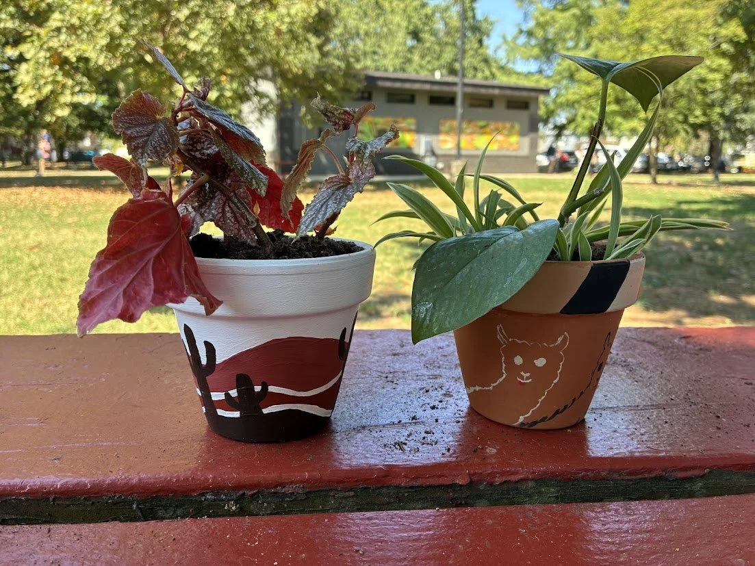 Two pots with plants.jpg