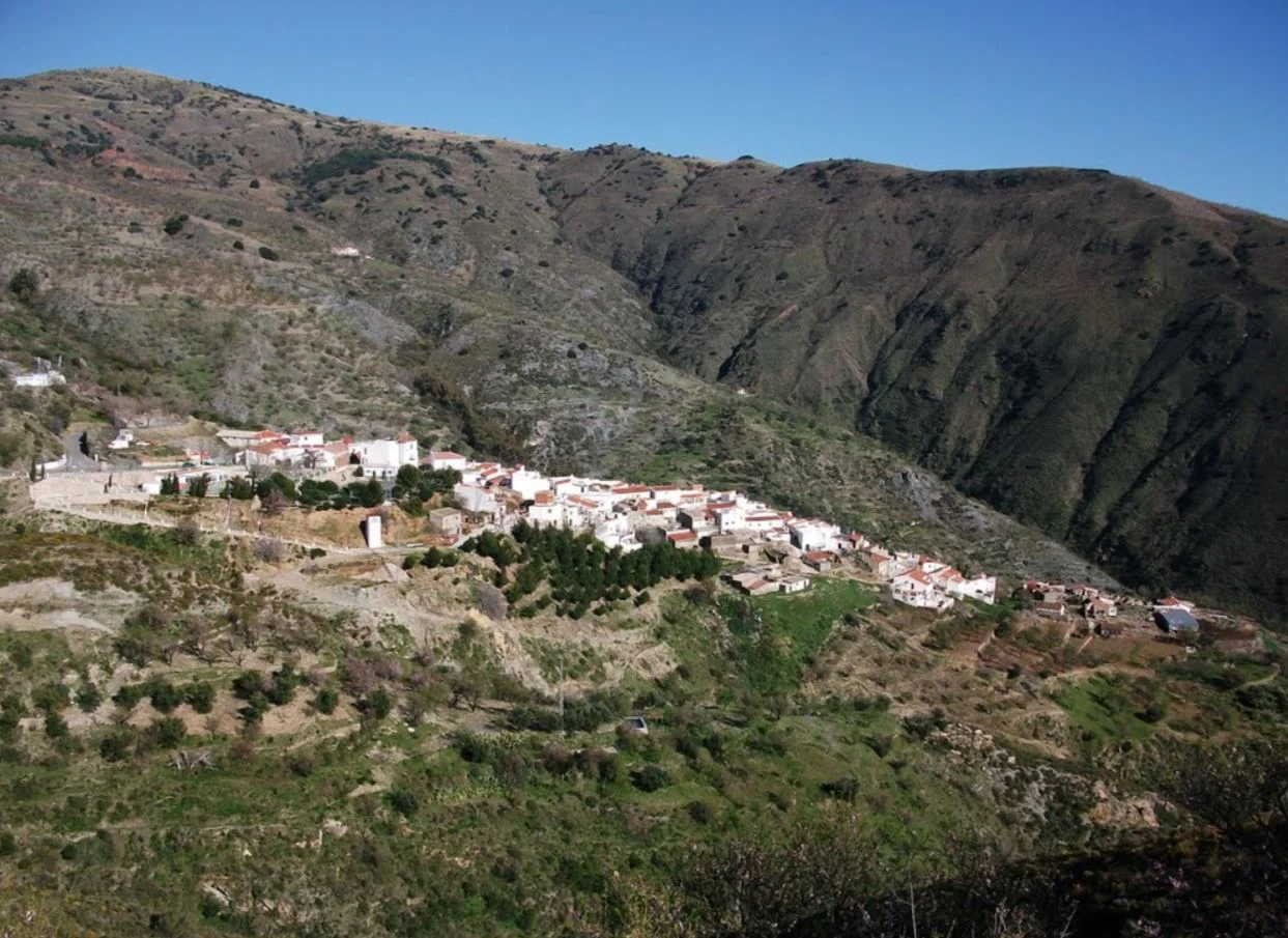 Haza del Lino por Torvizcon