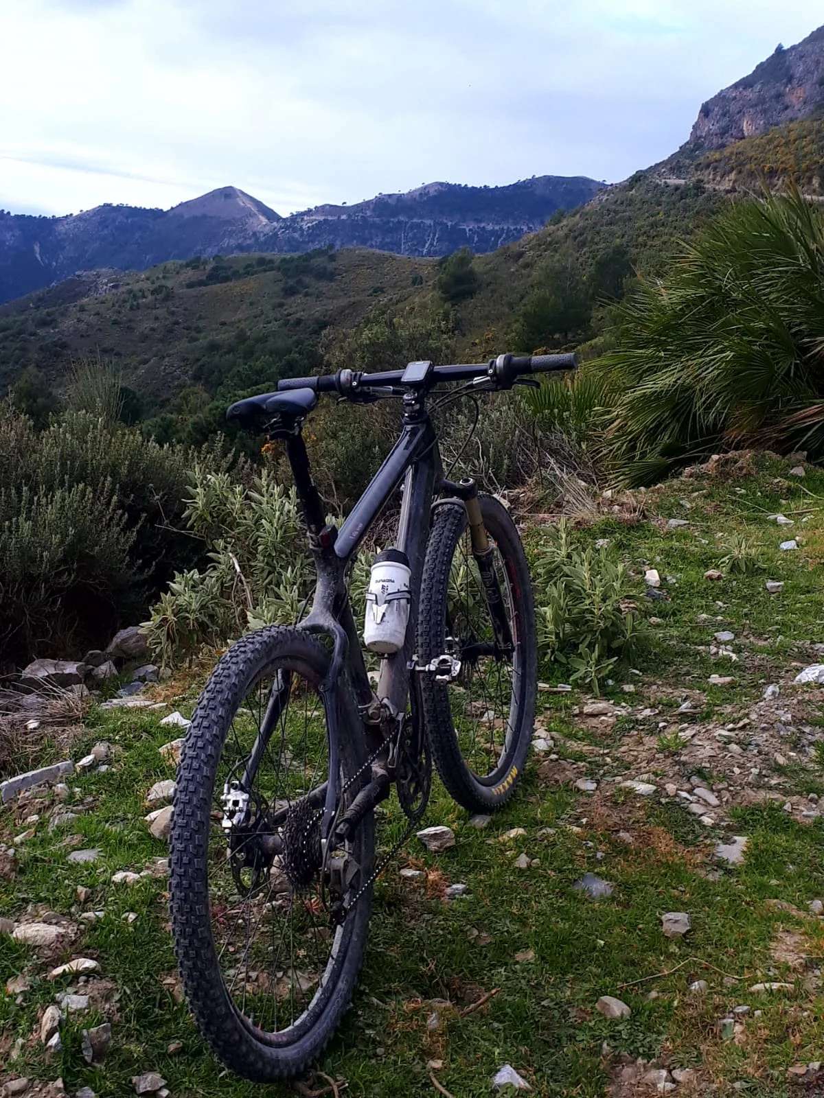 VARIAS DE MONTAÑA 2019