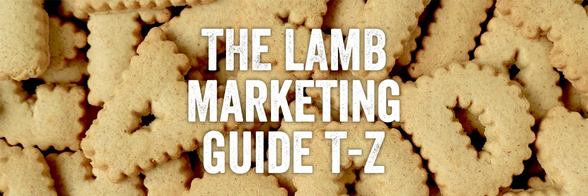 T-Z_banner.jpg