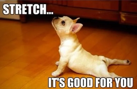 stretch.jpg