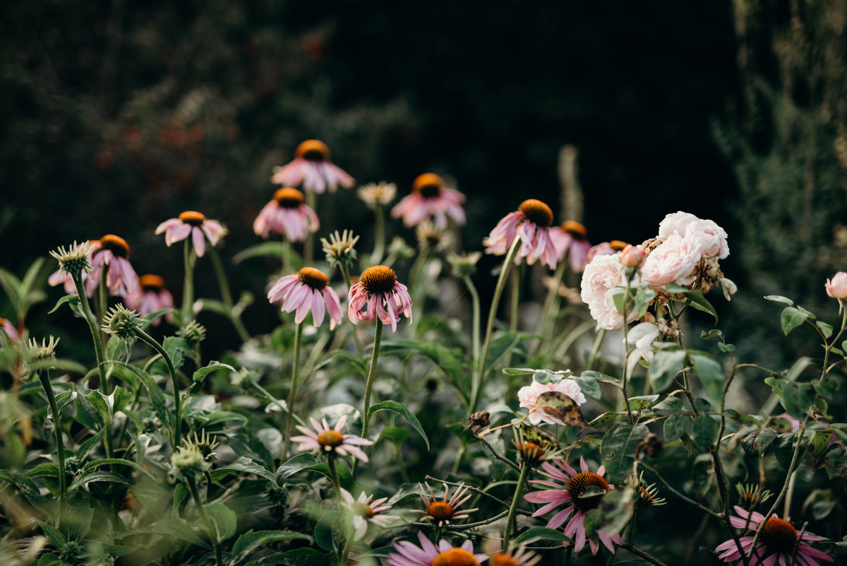 pembrokelodgeweddingphotography (121 of 136).jpg