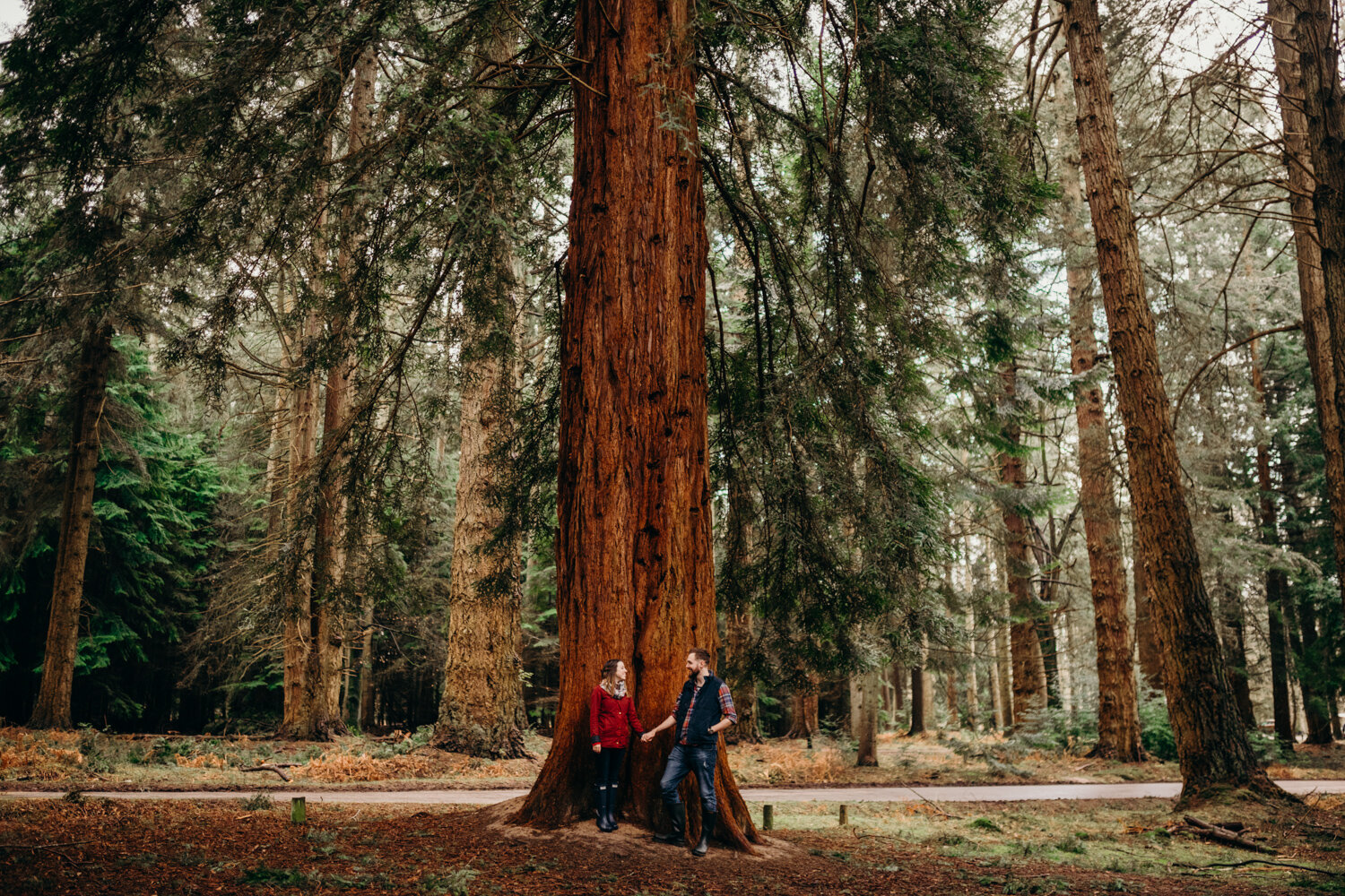 newforestweddingphotography (11 of 36).jpg