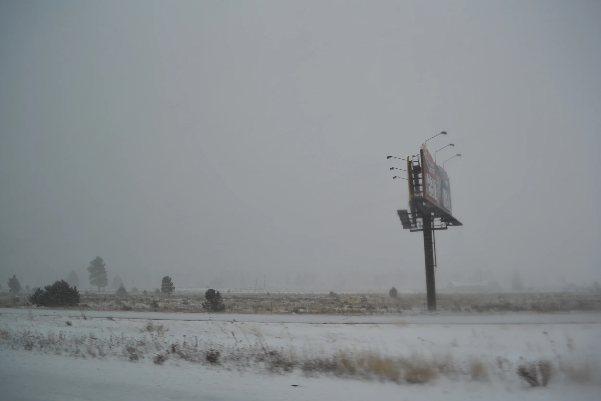 A snowstorm in northern Arizona, on Dec. 29, 2010.