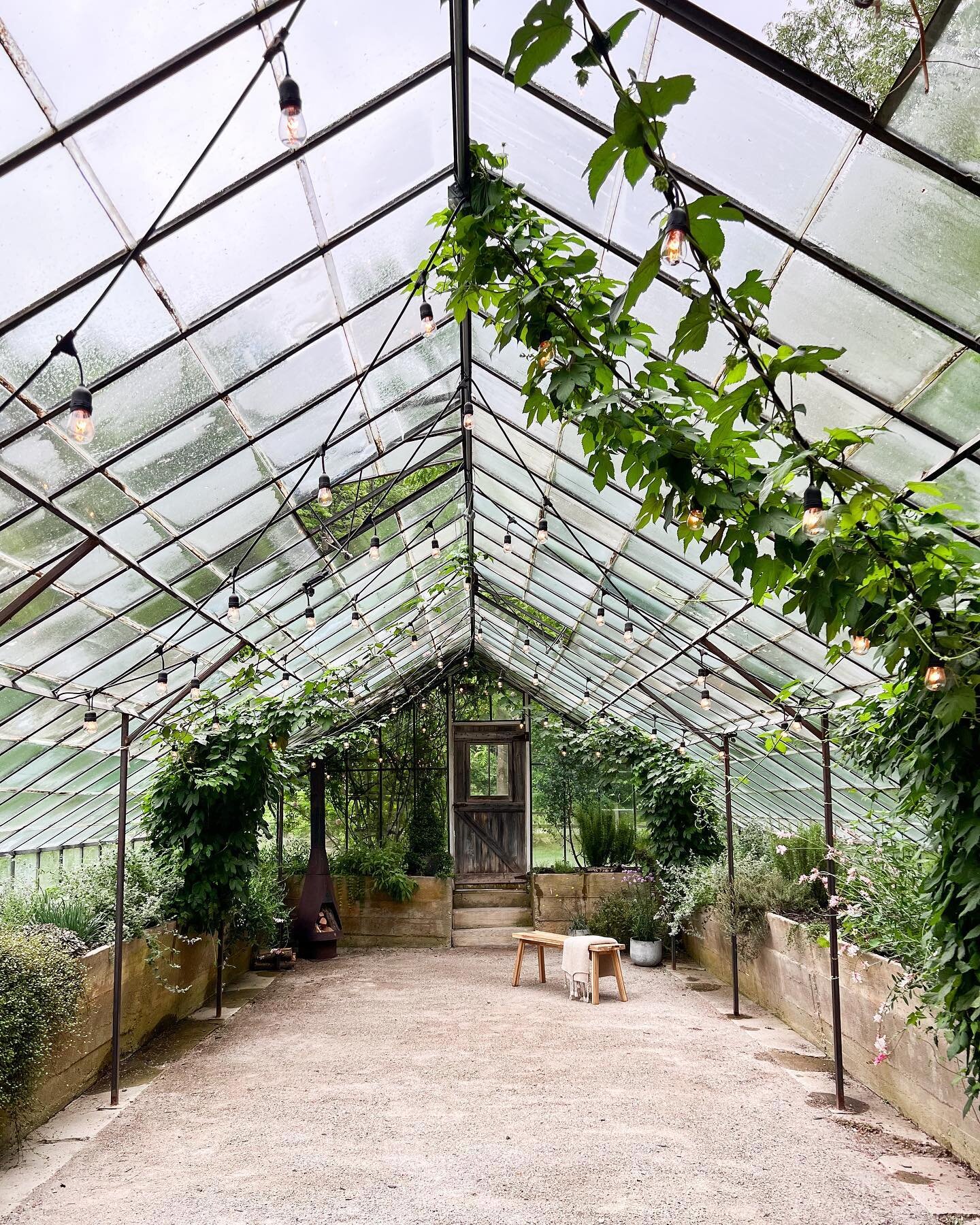 Yesterday&rsquo;a gorgeous family mini-session setting at @glasshousecommunity was everything! 🙌🏻 The rain didn&rsquo;t stop us, but going to be adding one more date to this beautiful space! Dates tbd, but PM if you&rsquo;re interested in being the