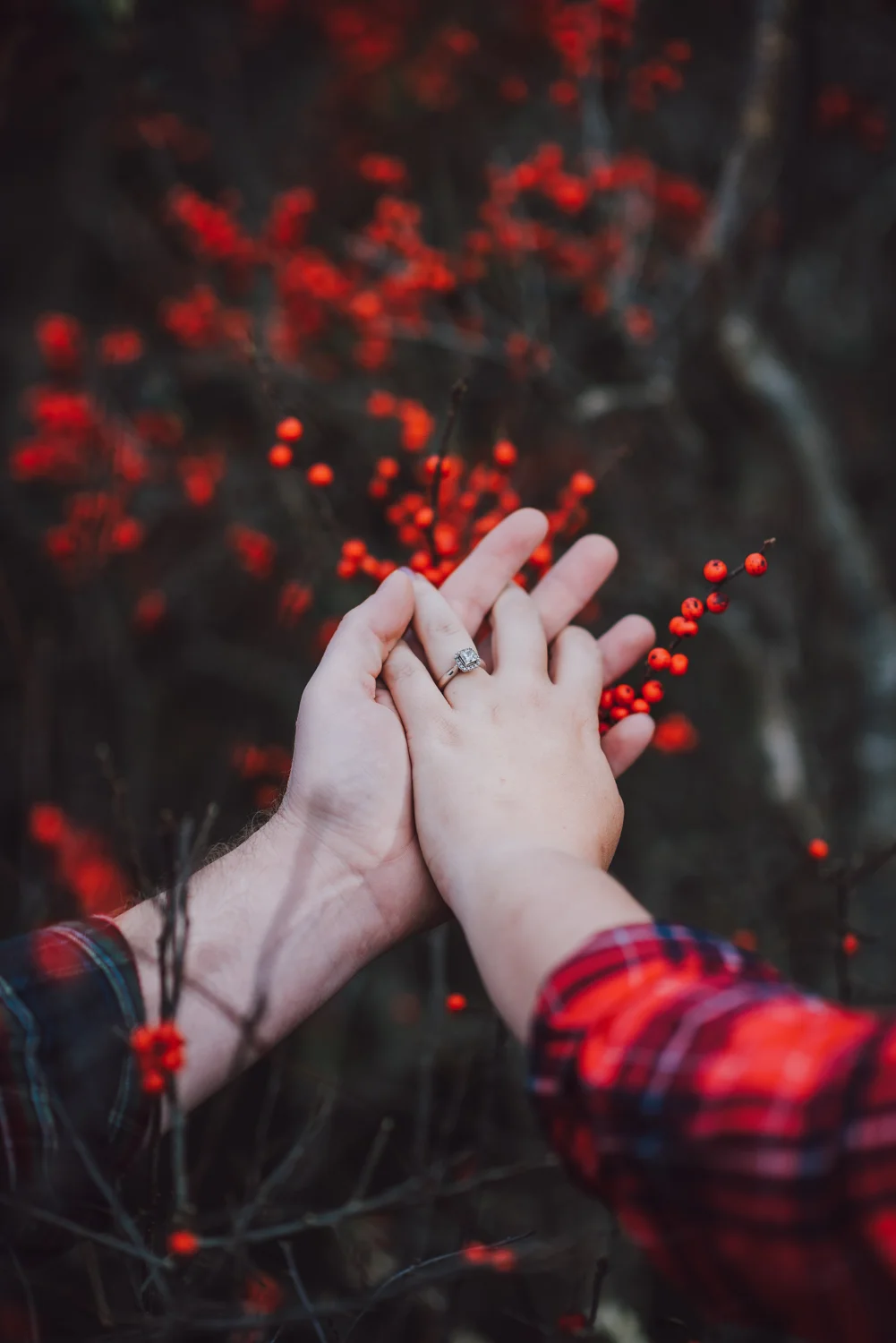 Eliza and Kyle Engagment -3460.jpg