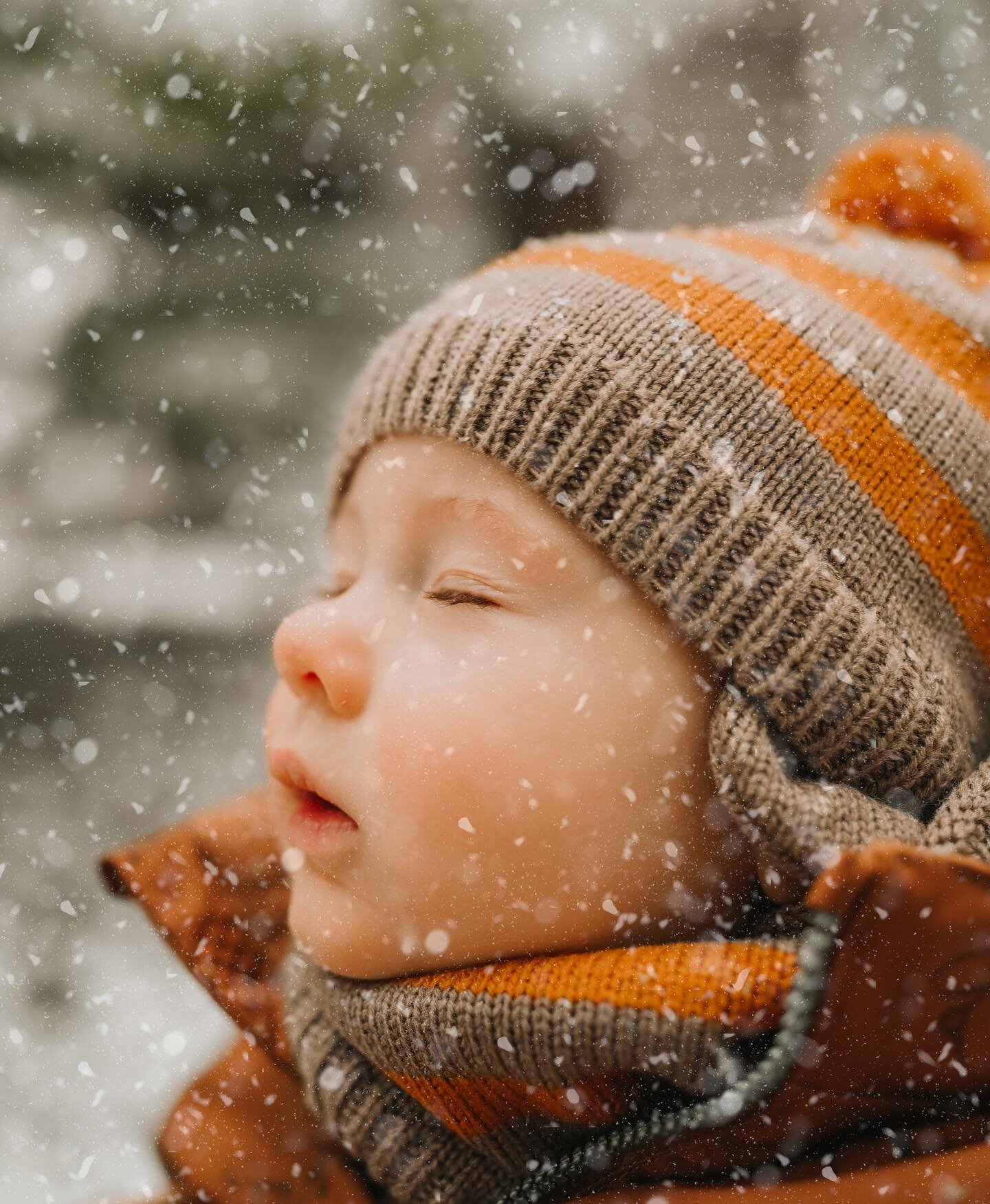 Maxims First Snow❄️