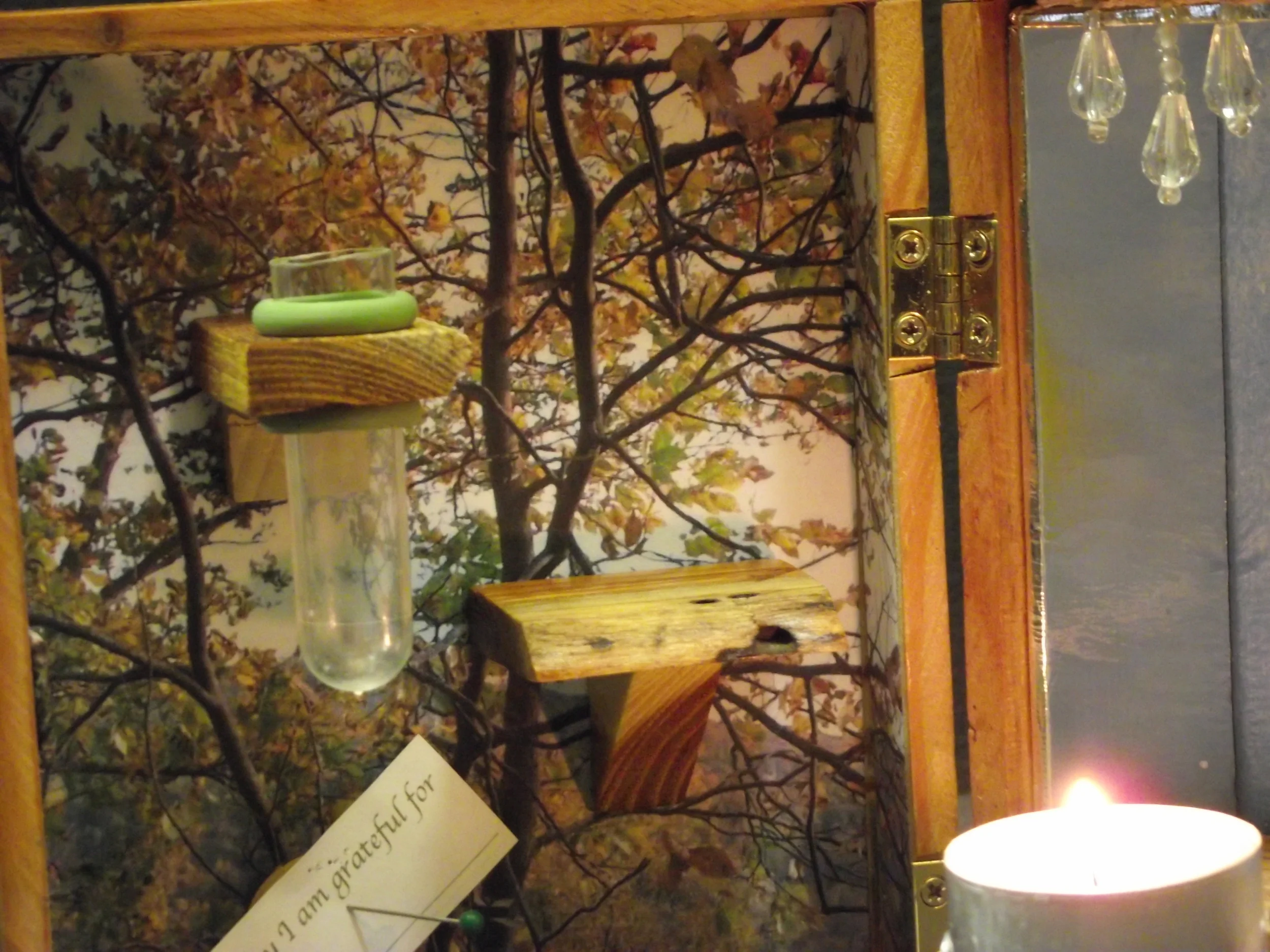 Hommage to Nature closeup.jpg