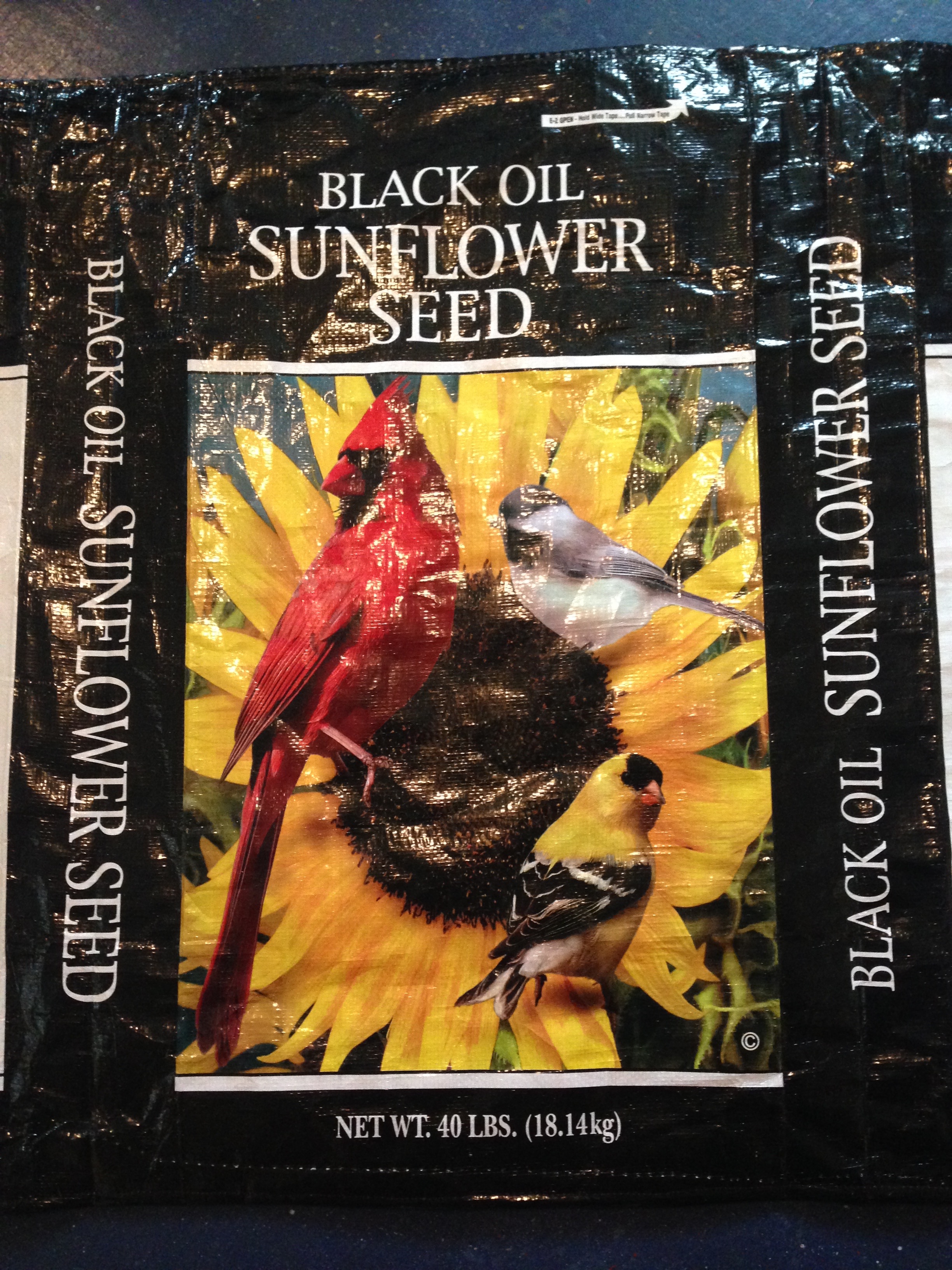 UPPB- sunflower seed.jpg