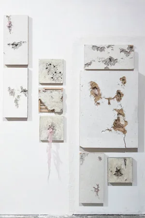 saving face , 2018, dimensions variable wood,metal grate, silk, plaster, graphite, shellac