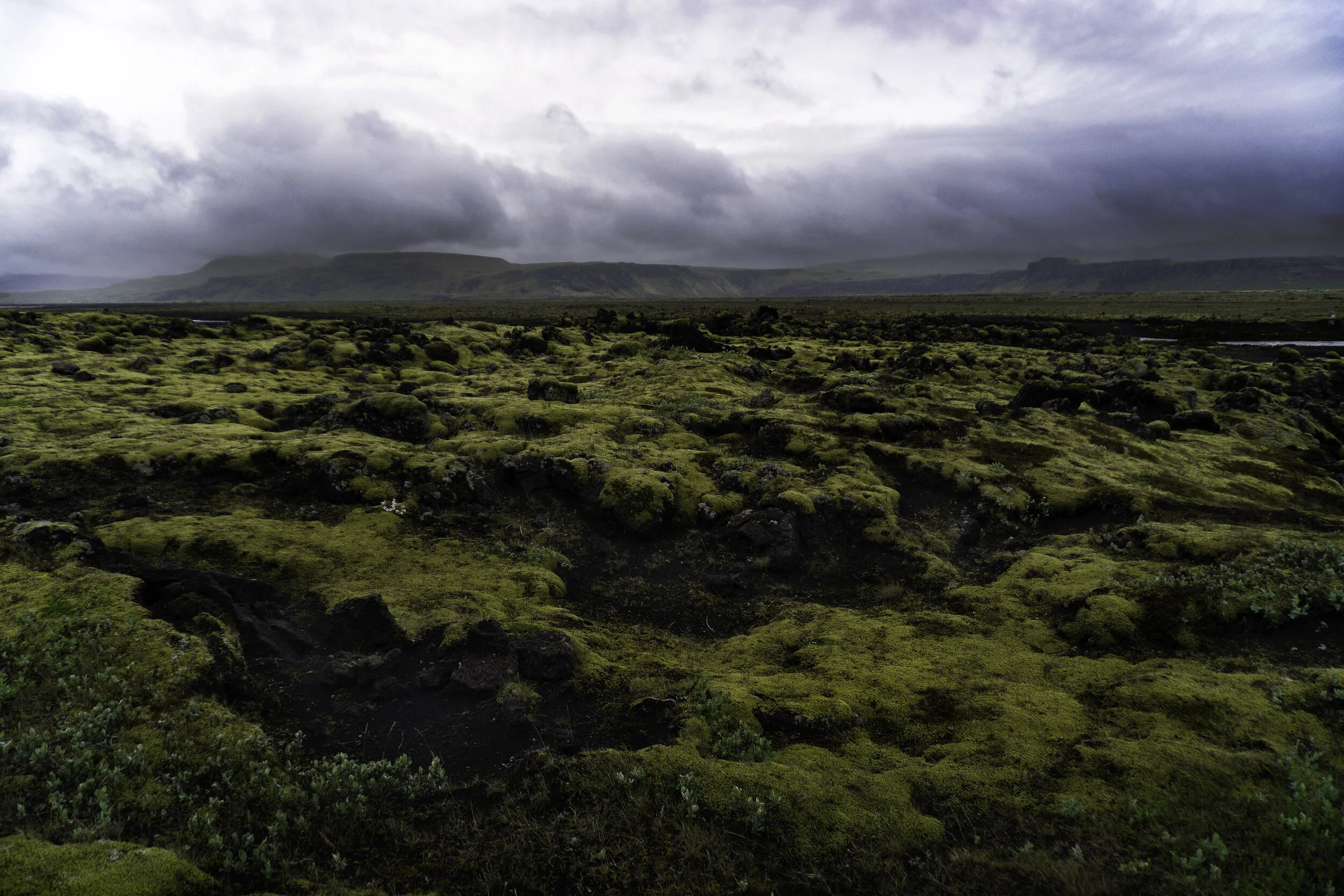green3.jpg