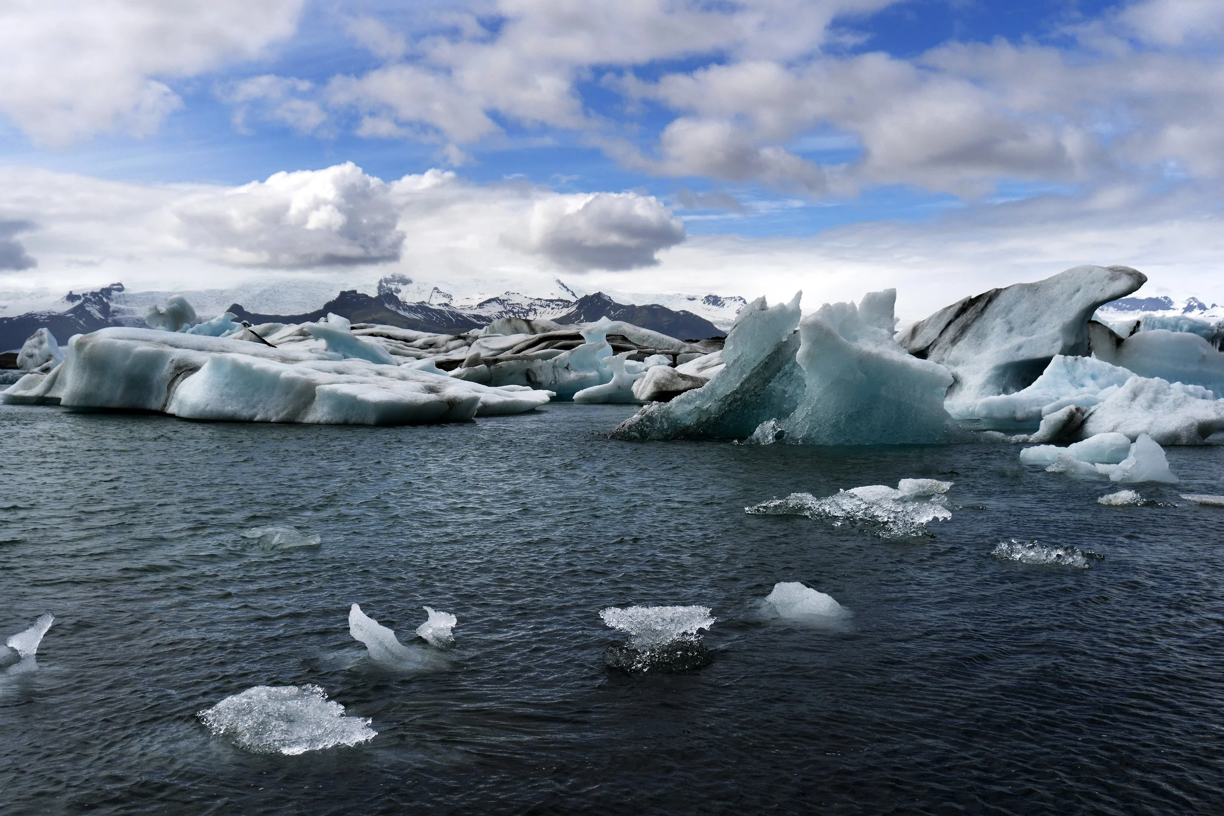 bergs copy.jpg