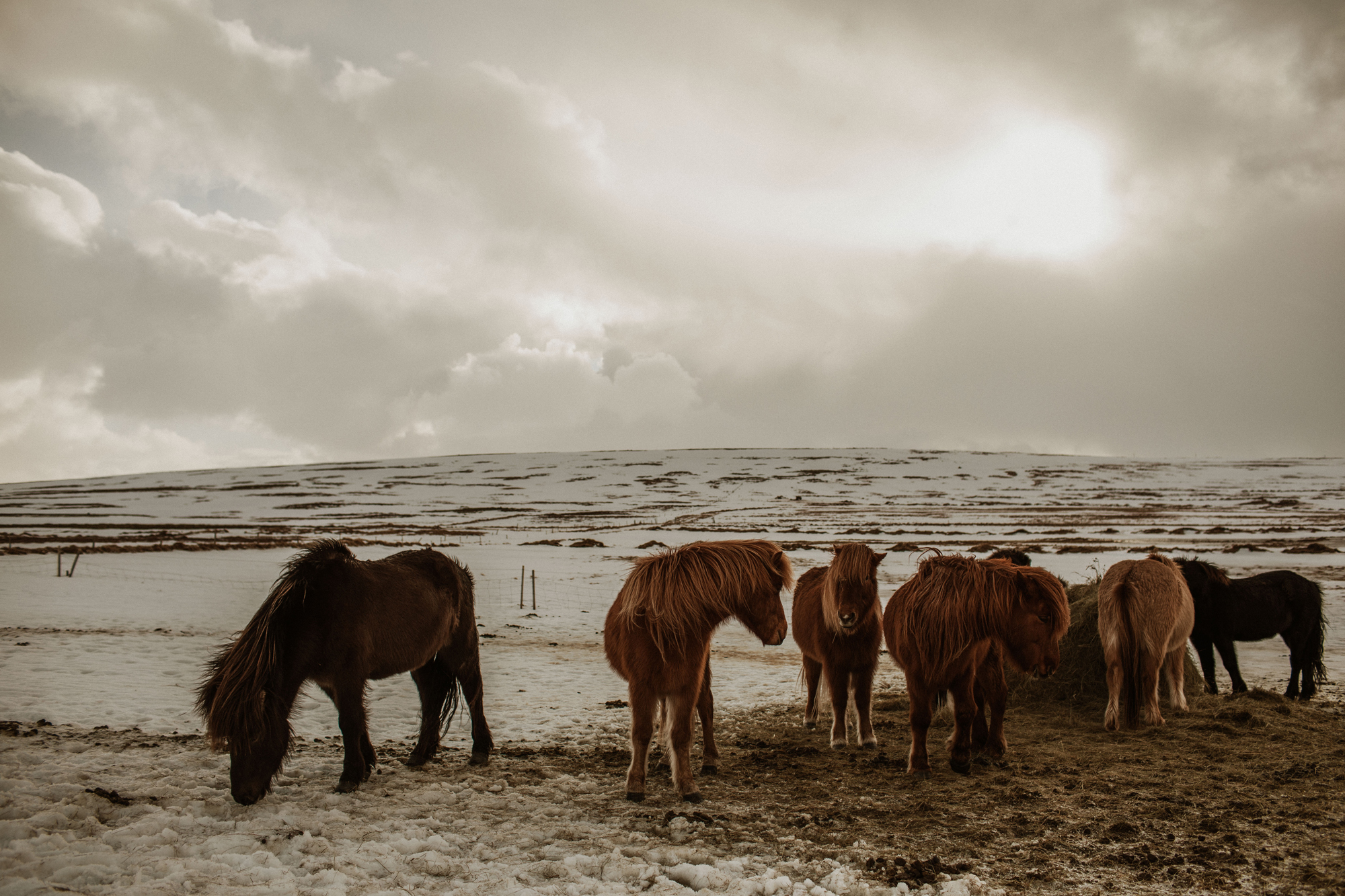 Iceland-15.jpg