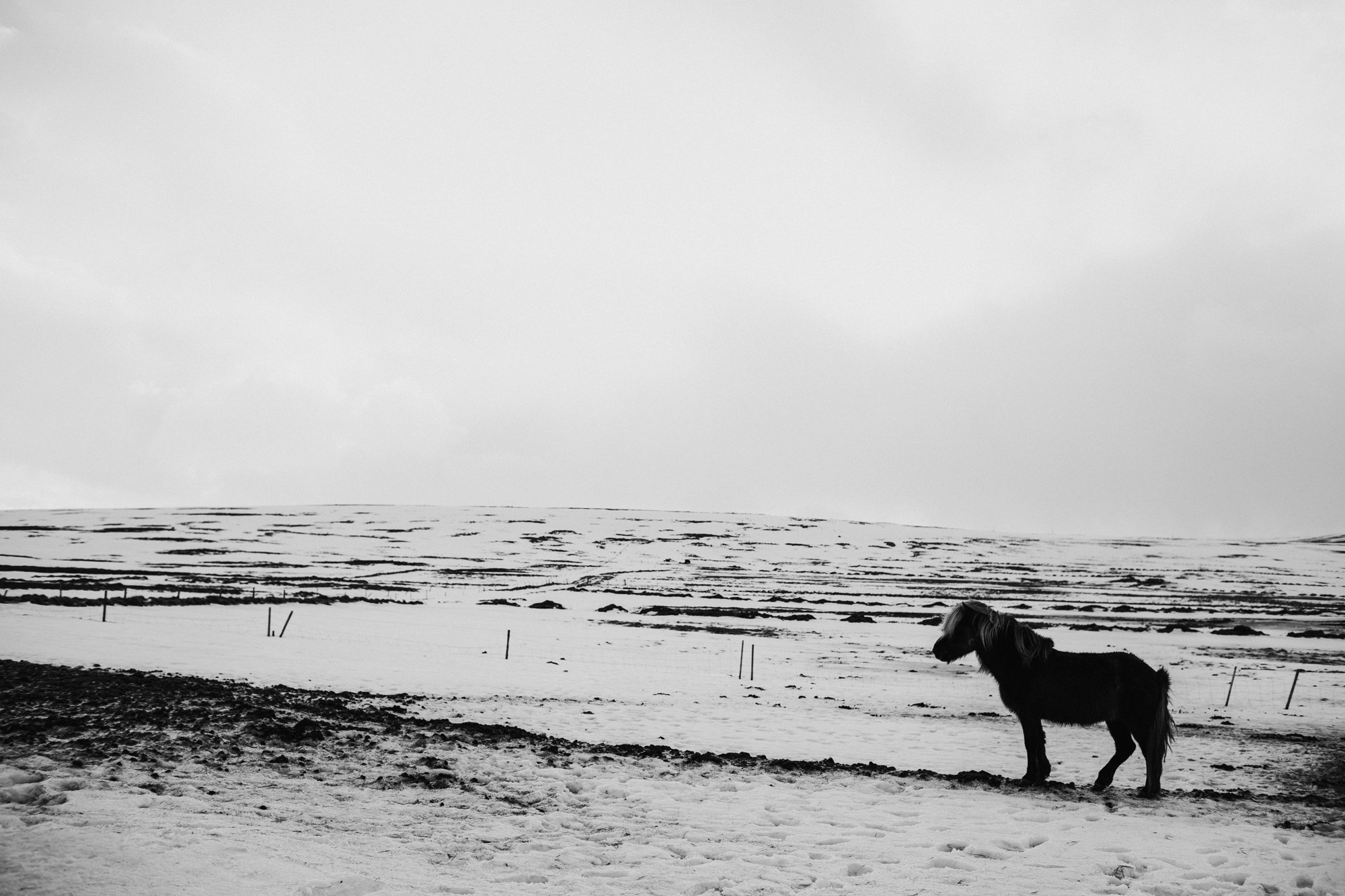 Iceland-17.jpg