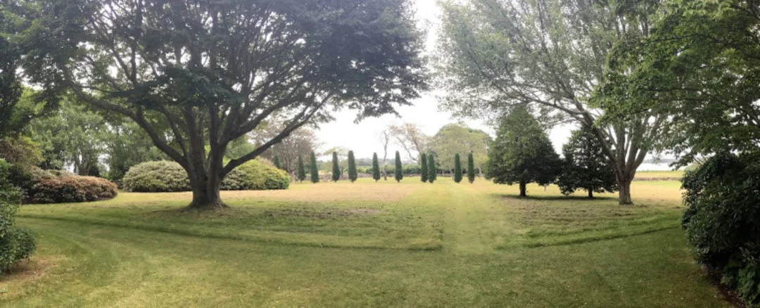 A single mowed path focuses the composition