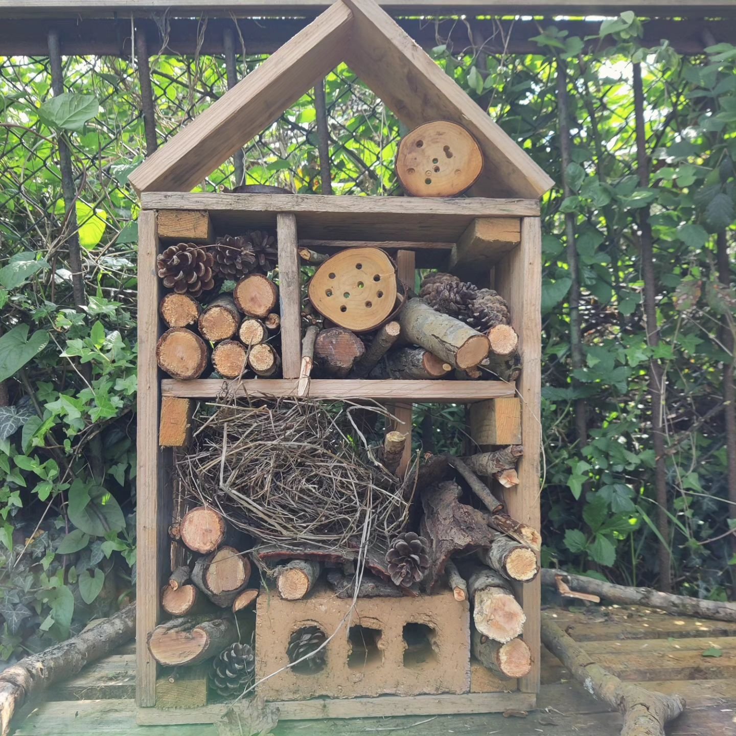 The Grand Bug-apest Hotel and glamping is open for business. 

#bughotel #bugsnug #forestschool
