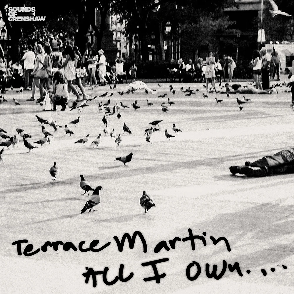 Terrace Martin All I Own Artwork.jpg