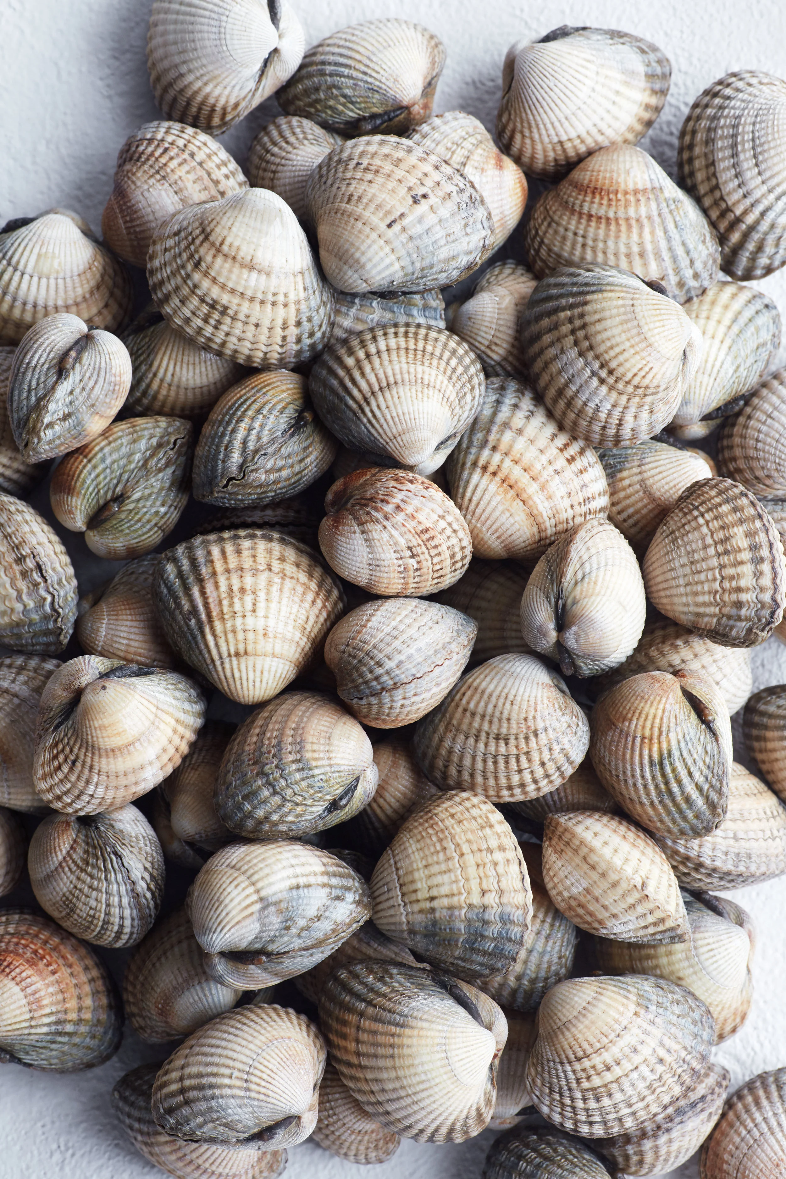 Råvare hjerteskjell 1.jpg