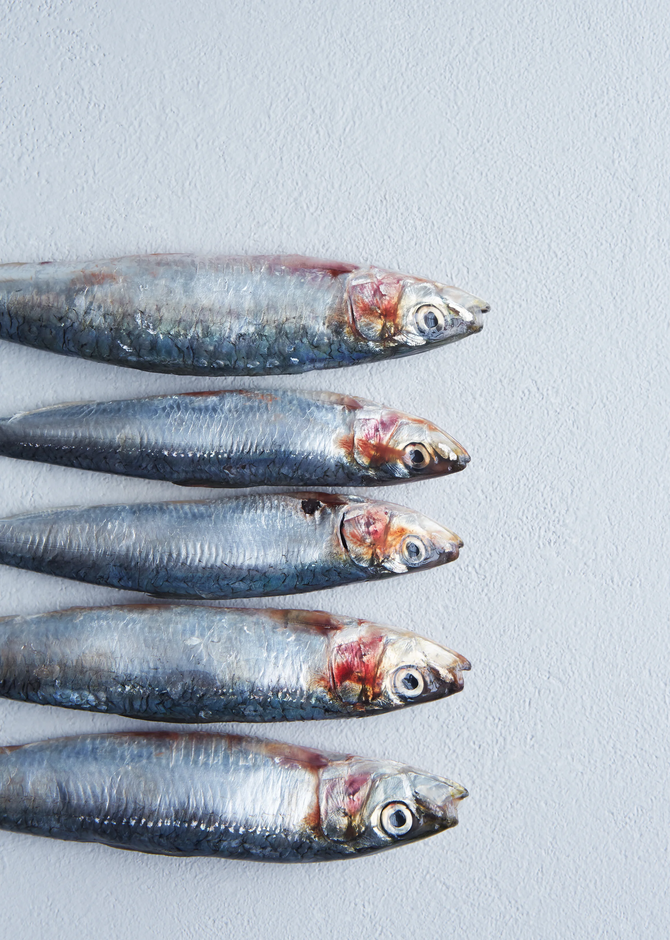 Råvare sardiner 1.jpg