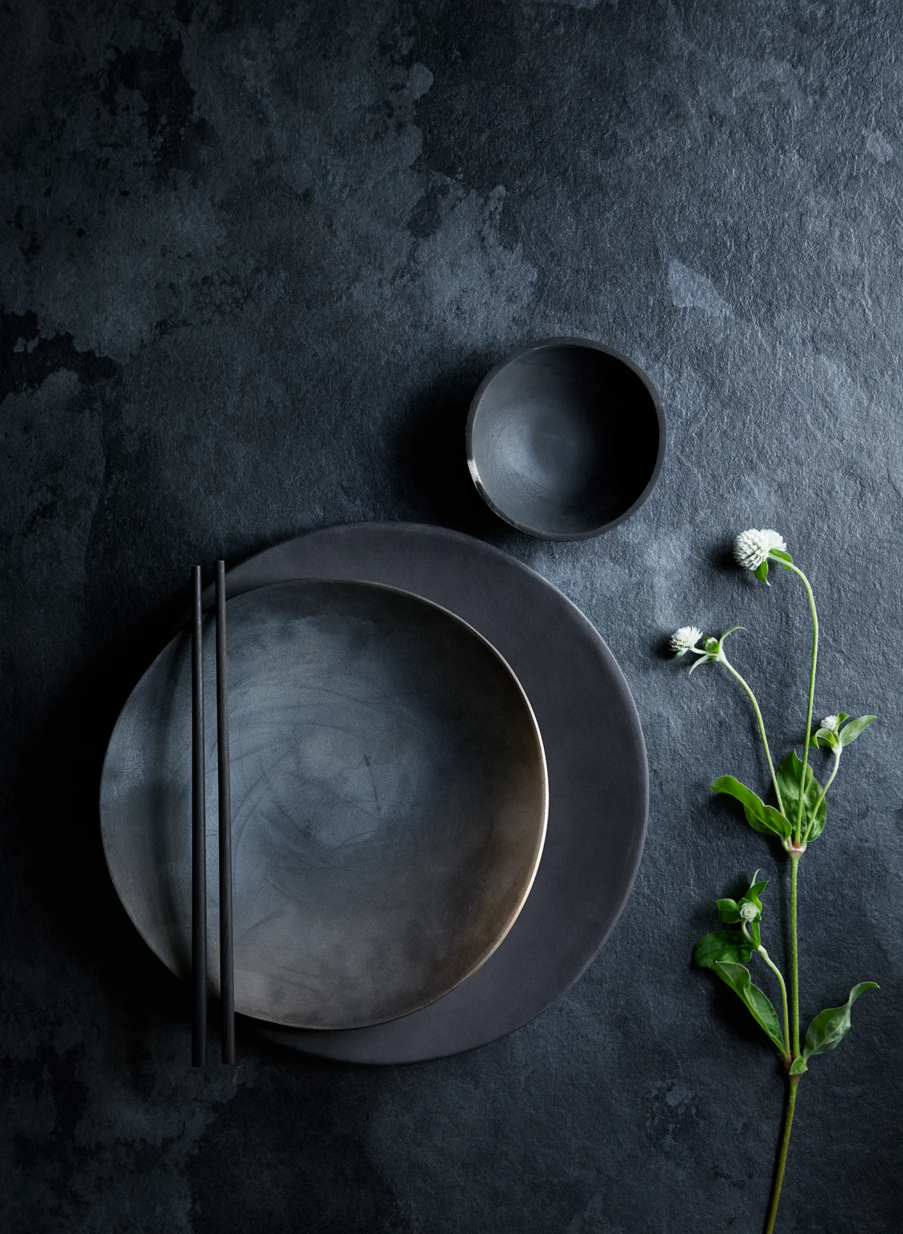 2018.09.08 Asiatisk skalldyr Mad&Bolig0346 1.jpg