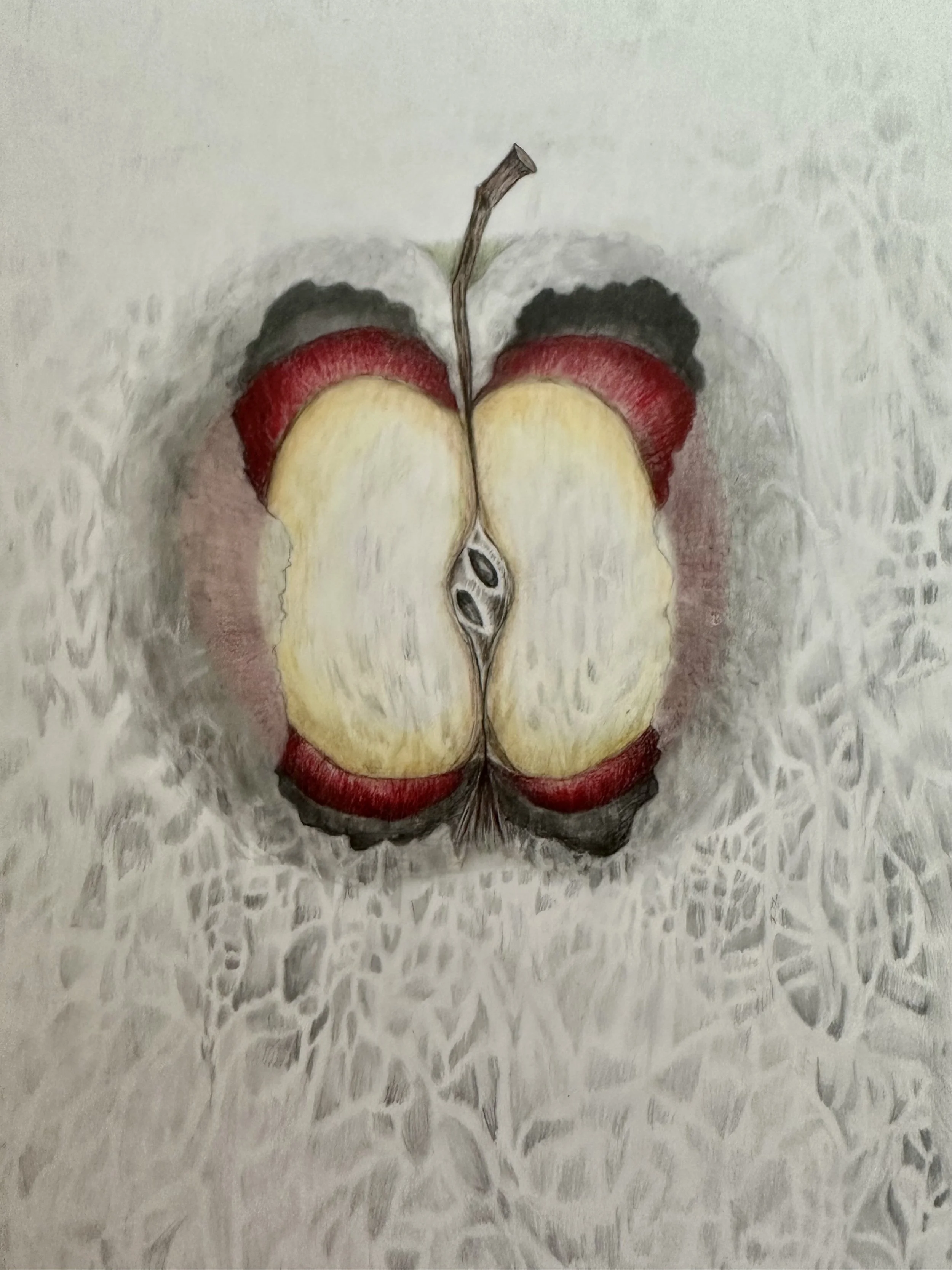 ENTOIL ILLUSION - paper, prisma color pencils, graphite on mylar