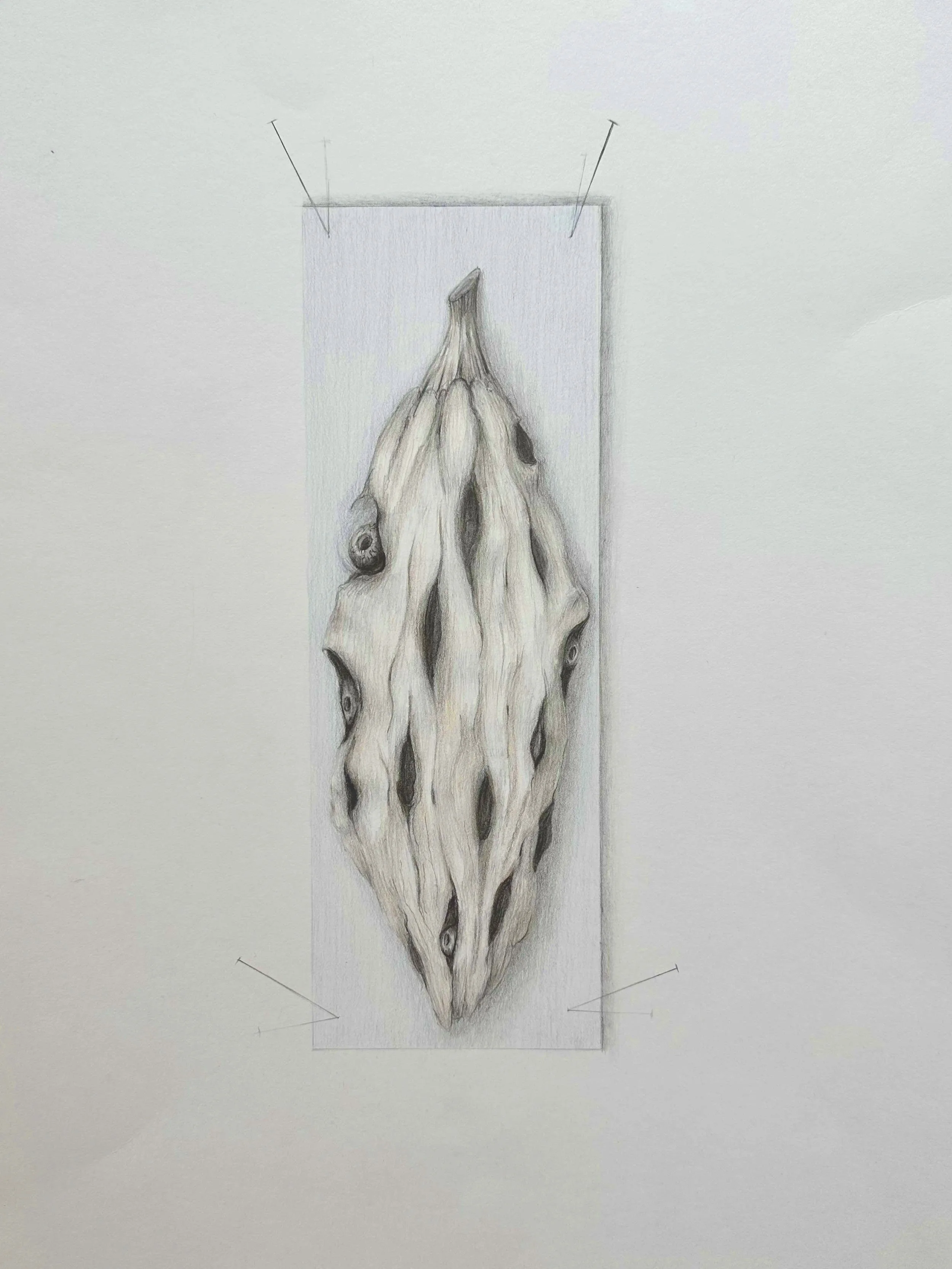  ESPYING POD  
Paper, prisma color pencils, graphite  
20.5” x 16” (Espying:  to make note of something through the use of one’s eyes. 