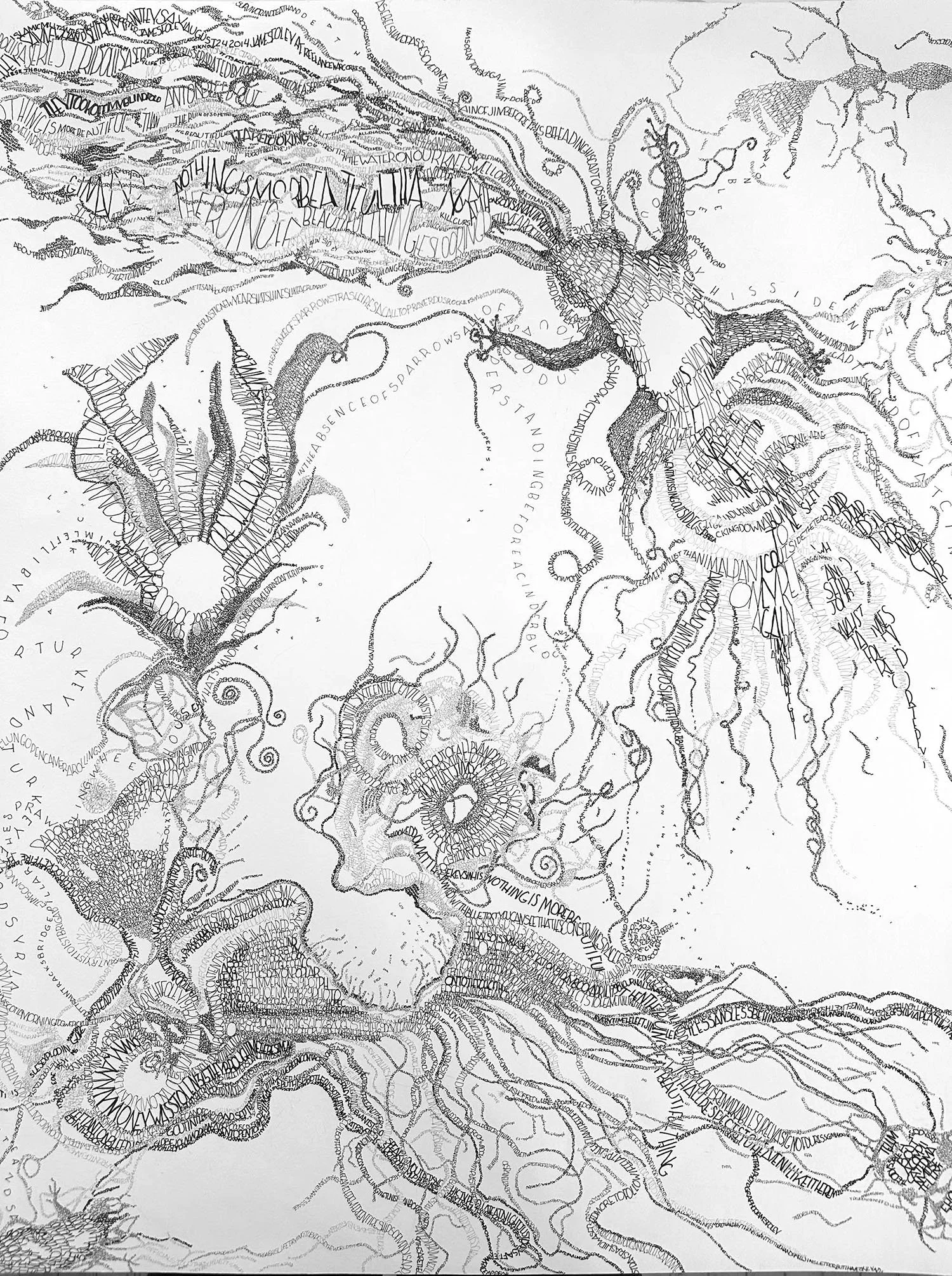  LEST WE NOT FORGET  
ink on paper, 28” x 22.5”
text taken from SHADOW ACT by Daniel Brock Johnson, Mc Sweeney's Poetry Series, 2023