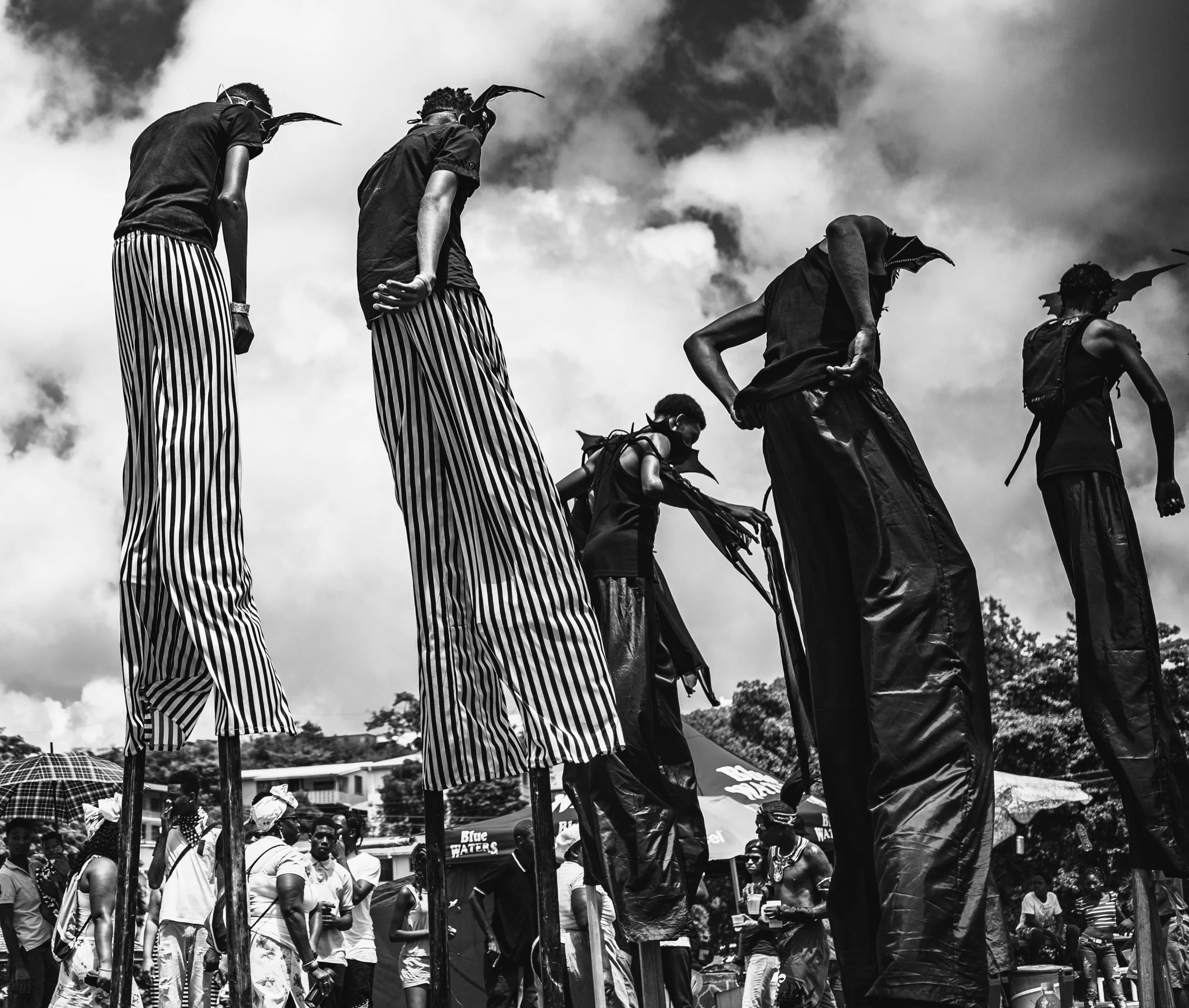 dsc06662 carnival.jpeg