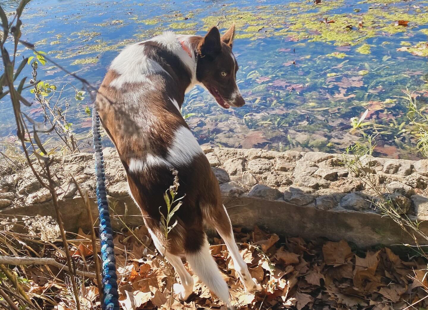 new year!, hiking at Aquarena☀️❤️&zwj;🔥