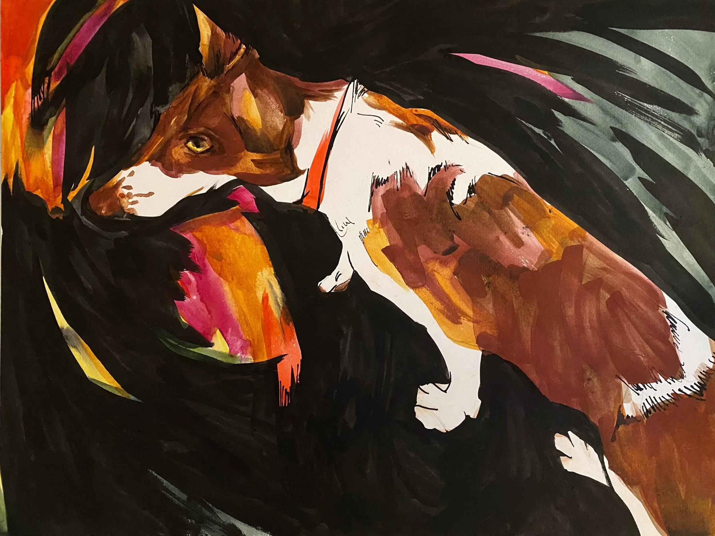 The things we have seen: night stalk