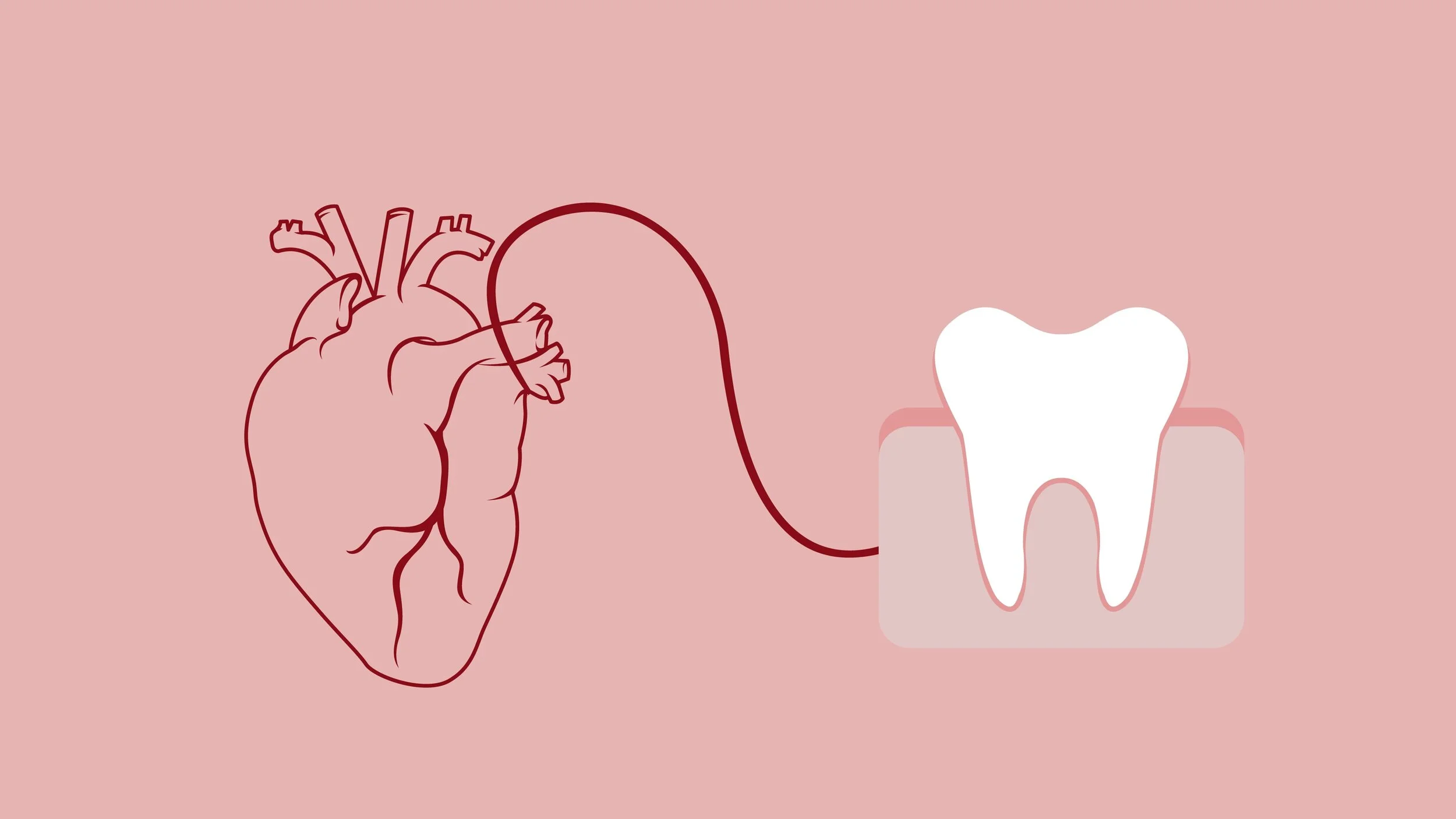 Brush Your Teeth To Protect The Heart