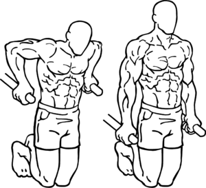 300px-Dips.png
