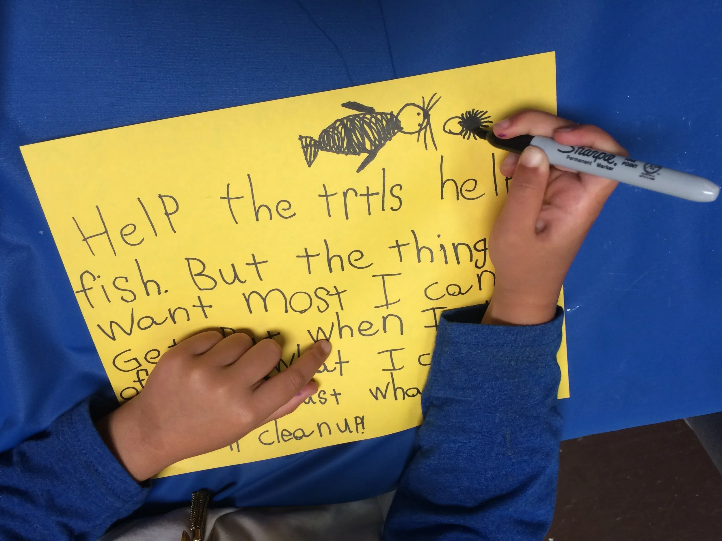 Help Turtles:Fish.JPG