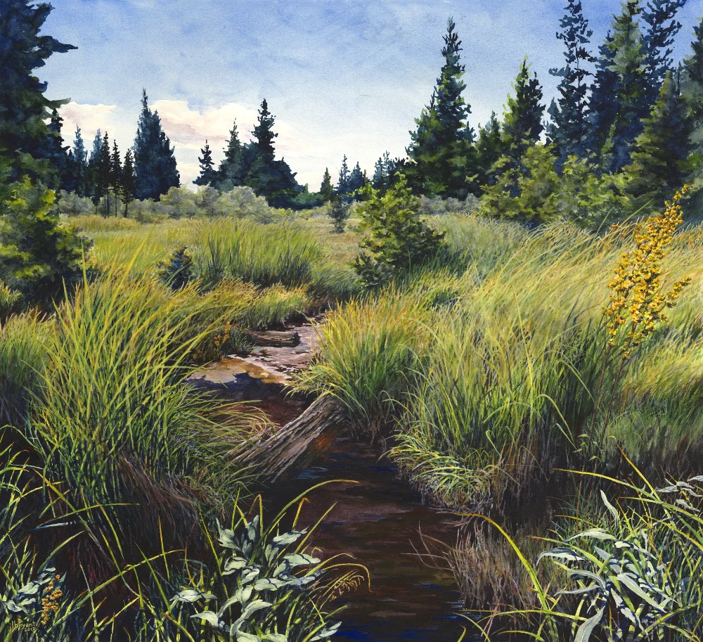 Little Death Creek color fix.jpg
